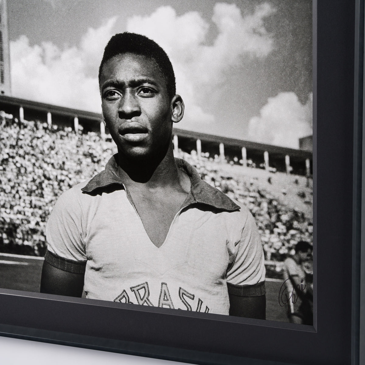 PEL SLE POR 03509 5 Pele 40  