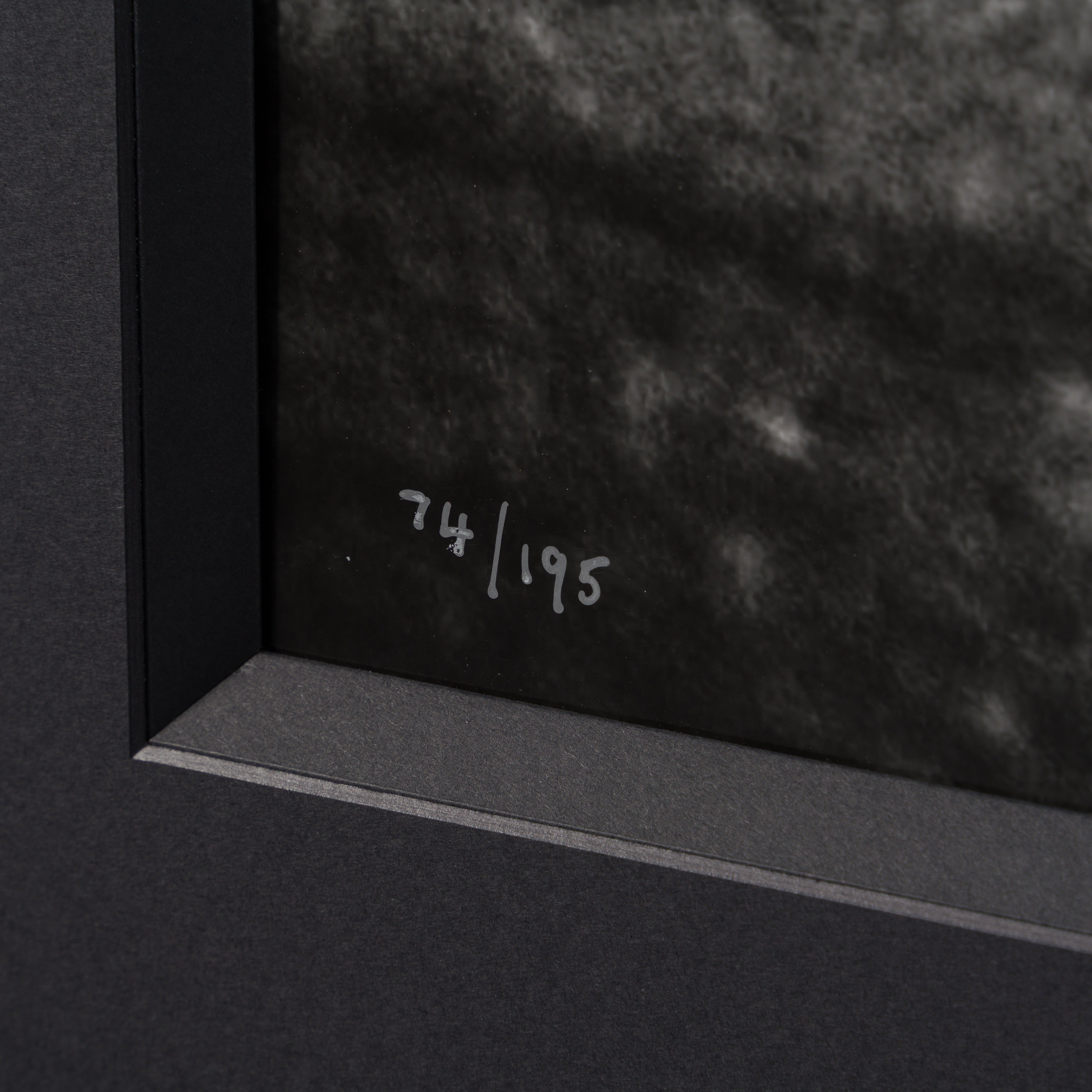 PEL SLE POR 04717 5 Bicycle Kick 30 x 40 