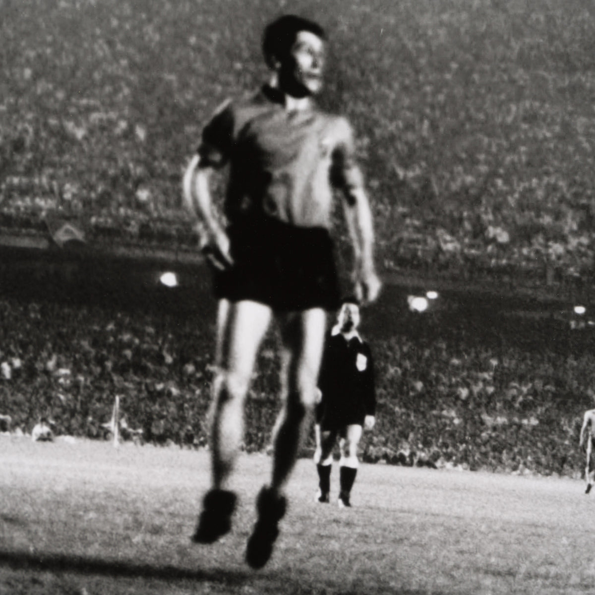 PEL SLE POR 04717 6 Bicycle Kick 30 x 40 