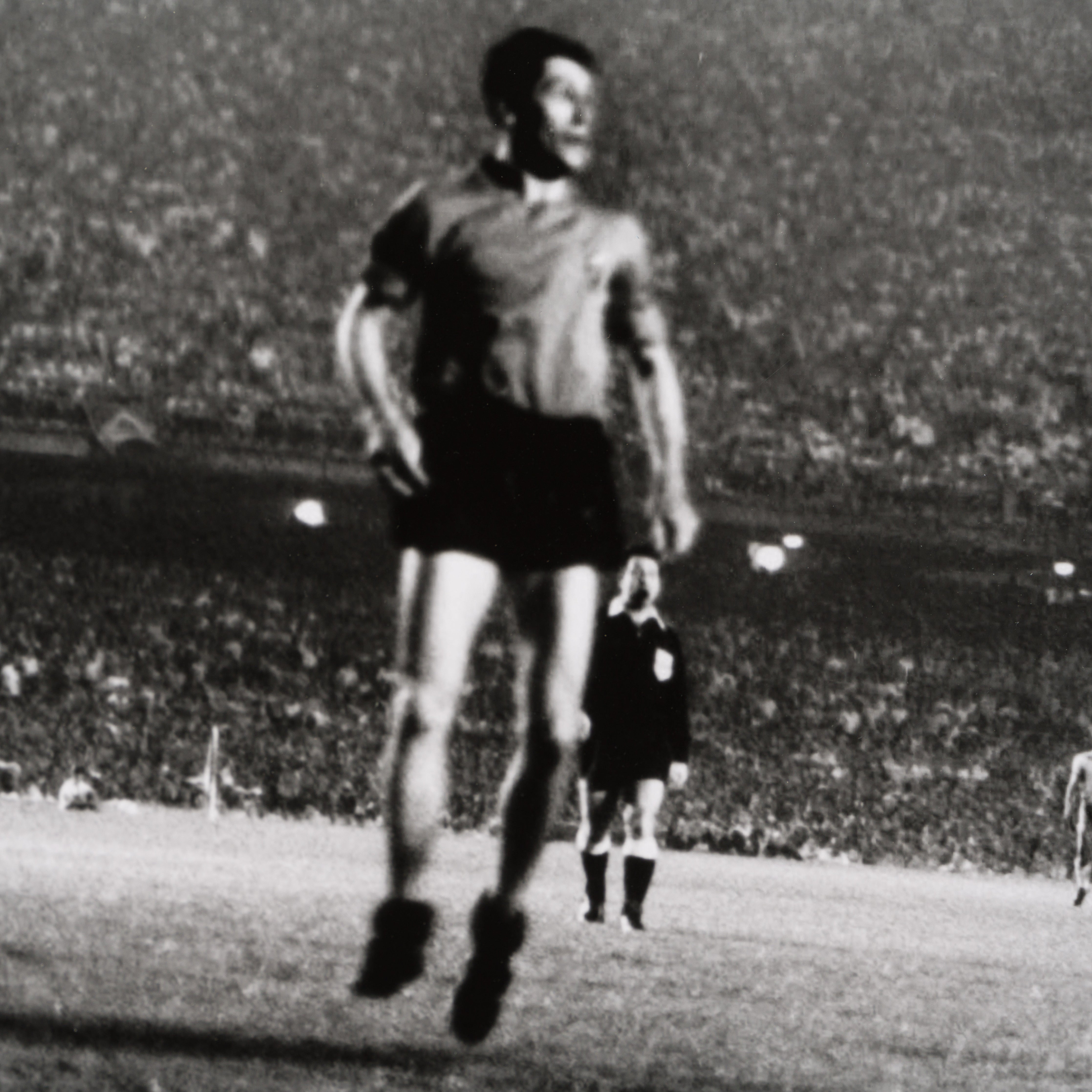 PEL SLE POR 04717 6 Bicycle Kick 30 x 40 