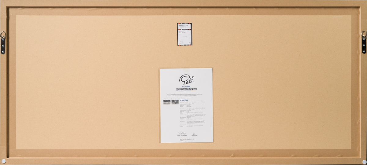 PEL SLE POR 04724 10 The Greatest Save 