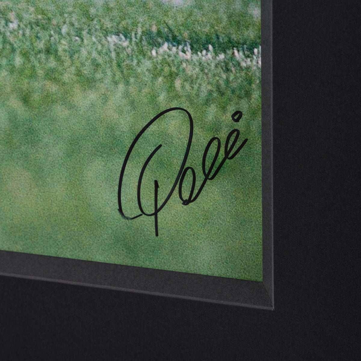 PEL SLE POR 05050 3 New York Cosmo 30x40 