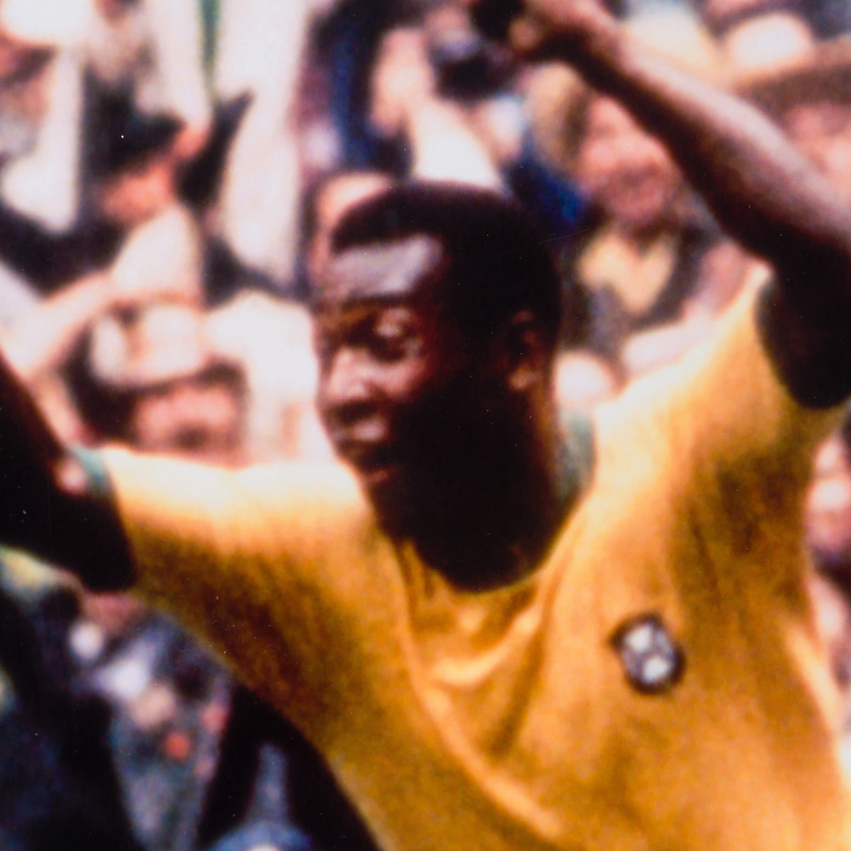 PEL SLE POR 05056 4 Pele Scores! 30x40 