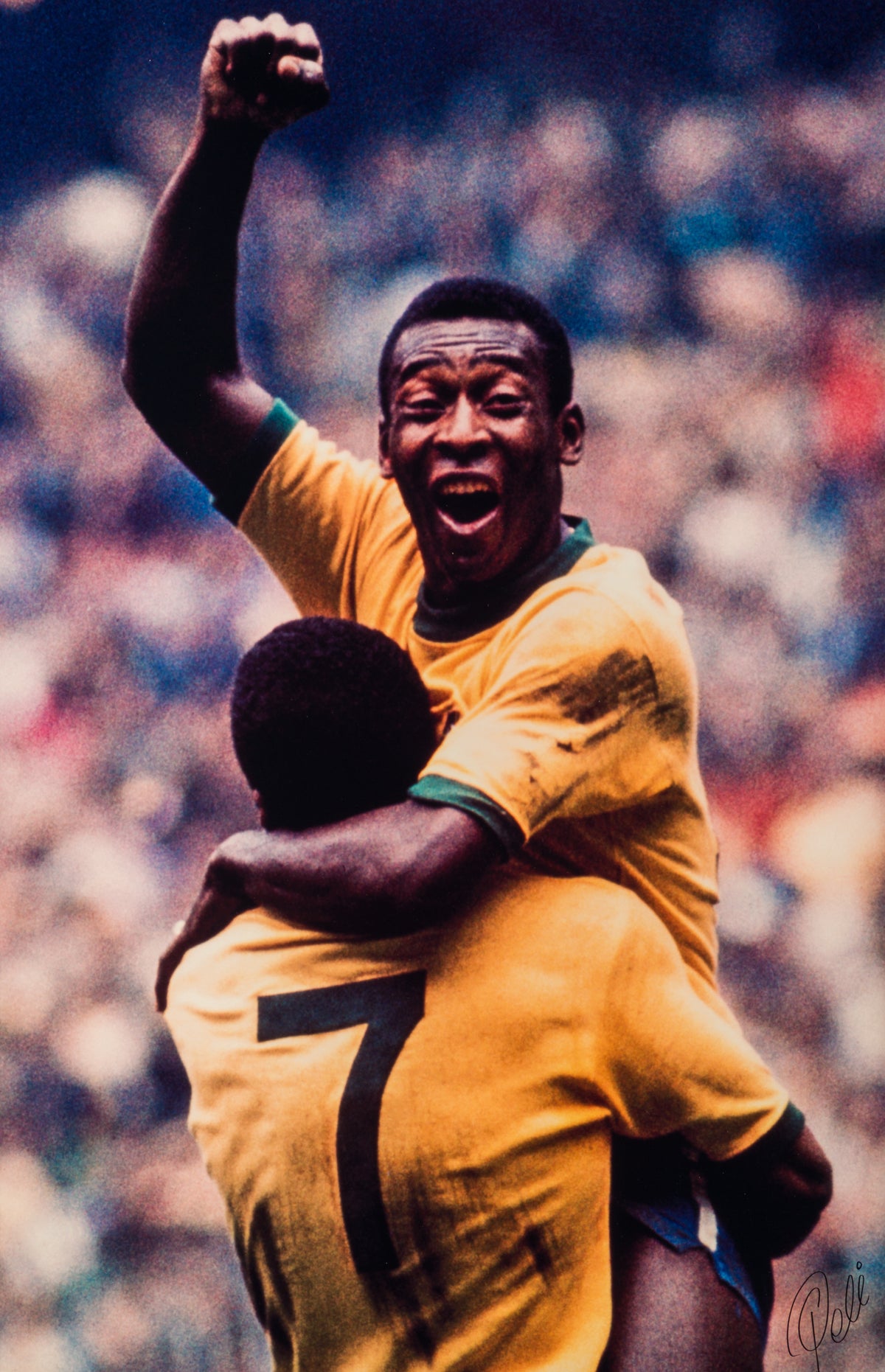 PEL SLE POR 05068 31 World Cup Fina 30x40 