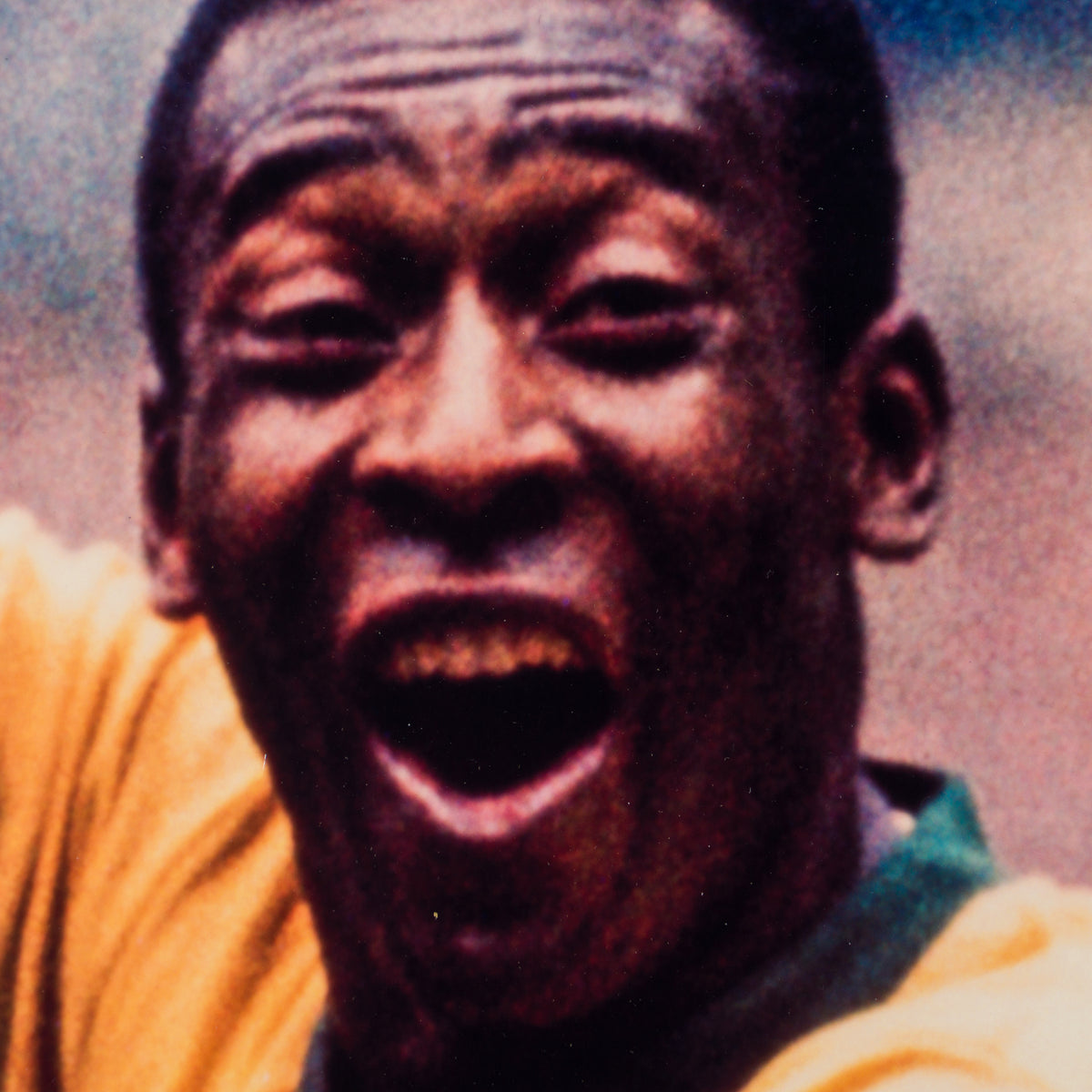 PEL SLE POR 05068 4 World Cup Fina 30x40 