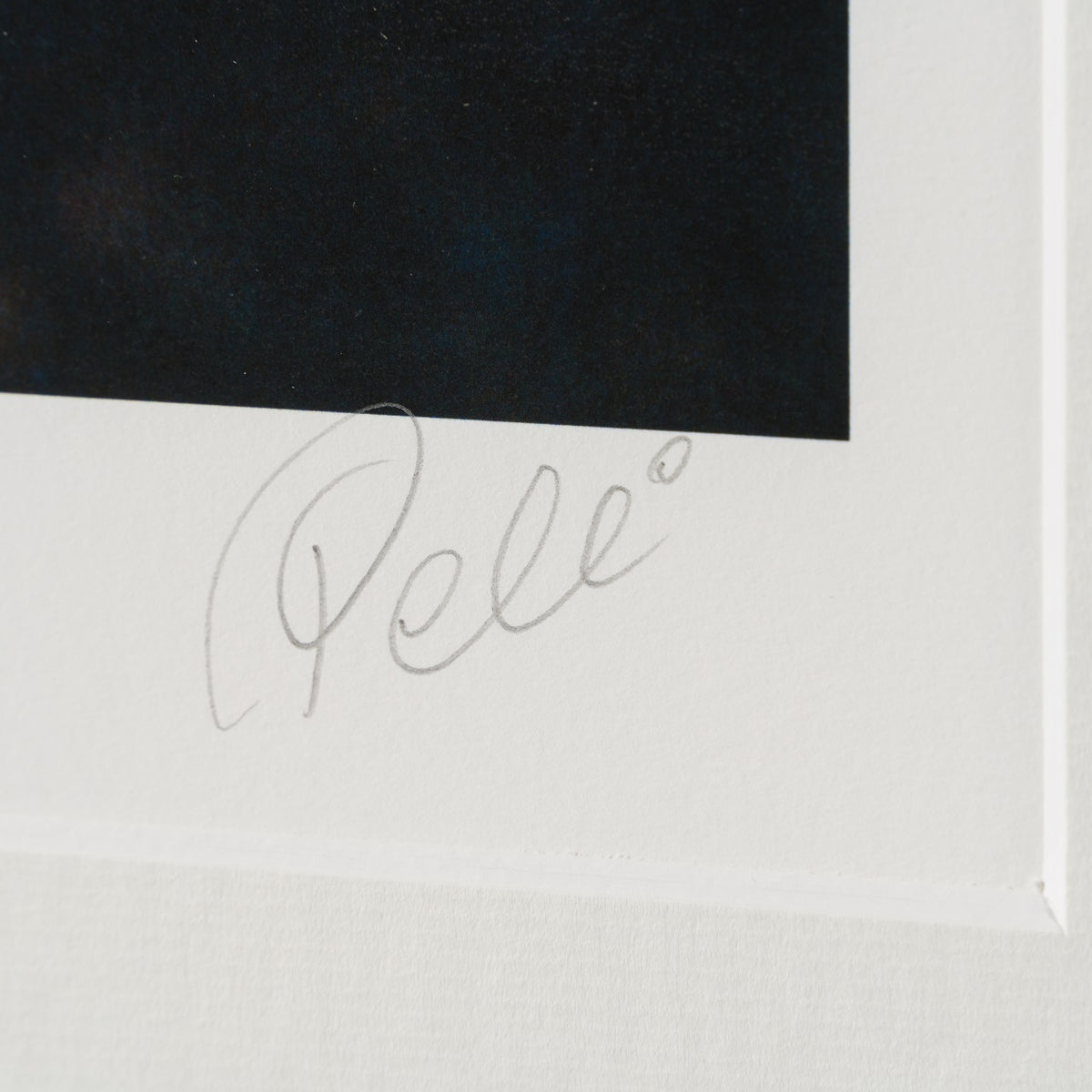 PEL SLE POR 07038 3 The Heart Of The King 