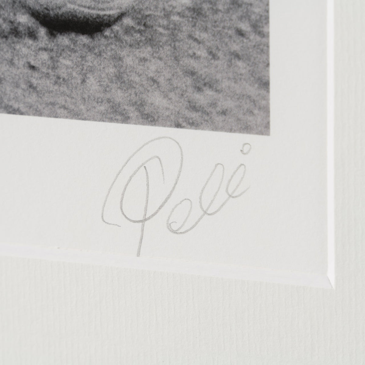 PEL SLE POR 07039 3 Unstoppable! 