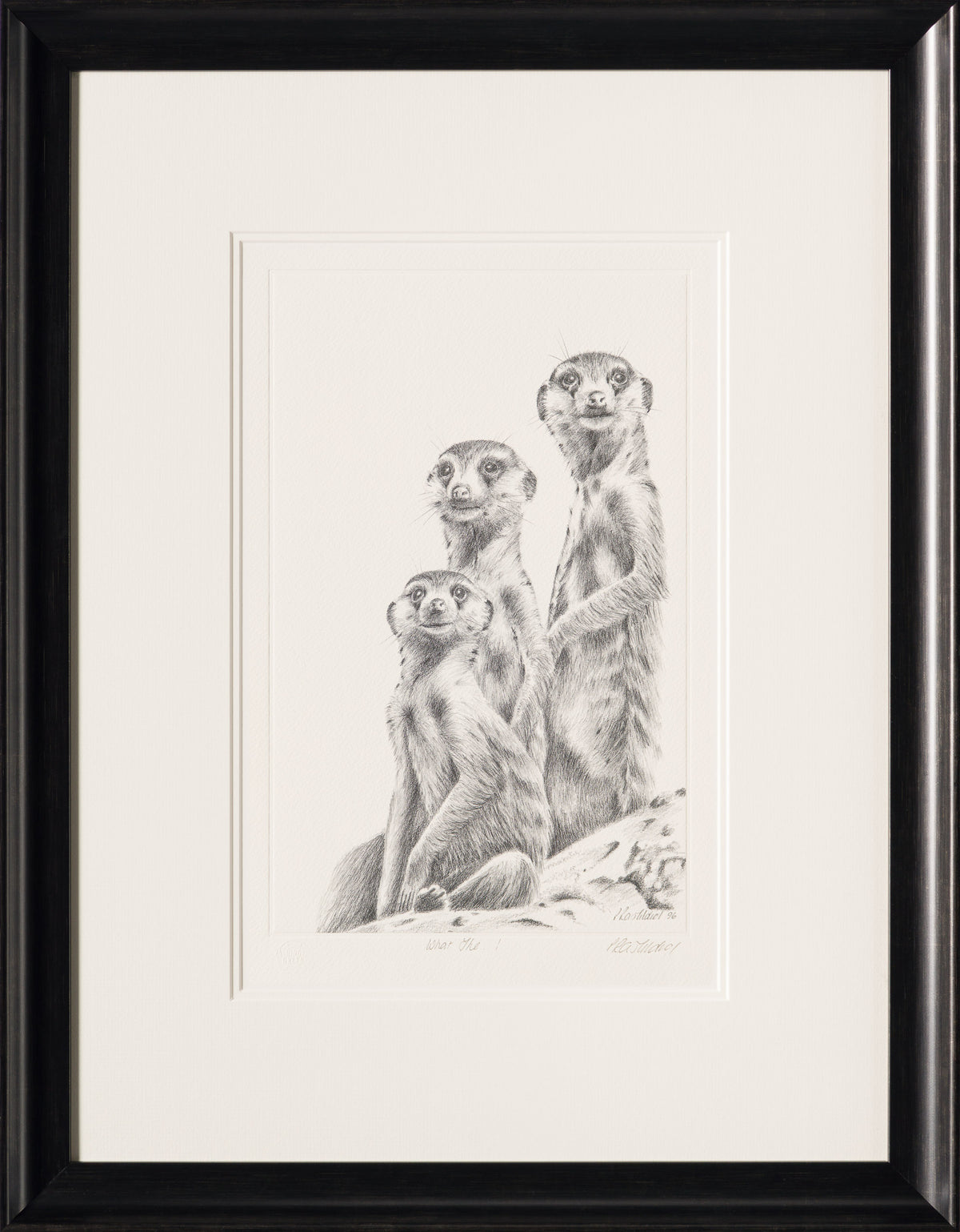 PHI SLE WWL 12982 What The 30 