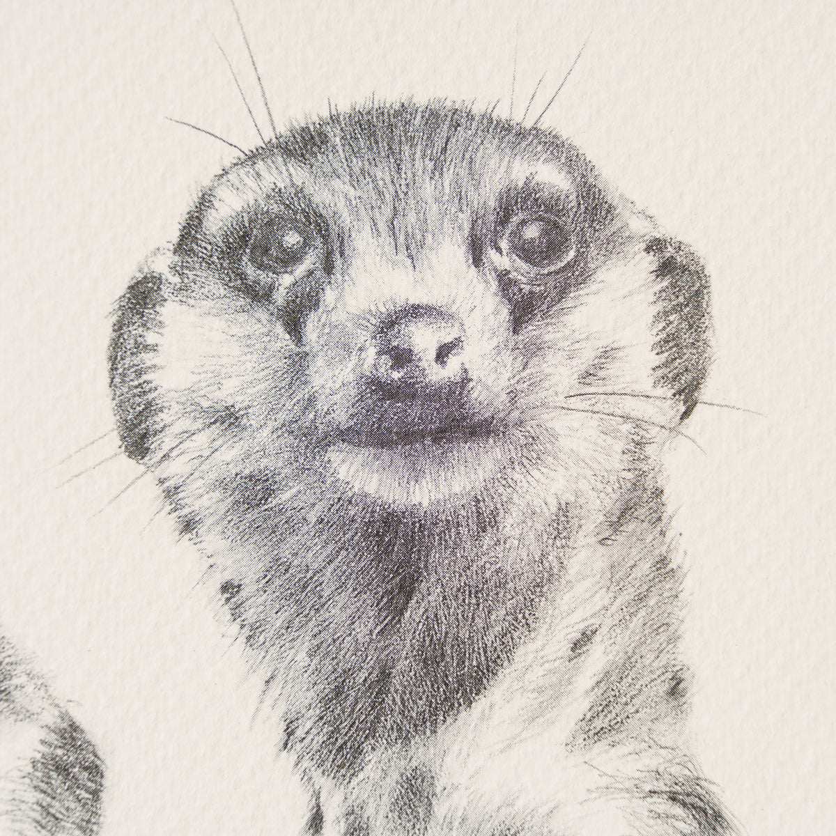 PHI SLE WWL 12982 What The 4 