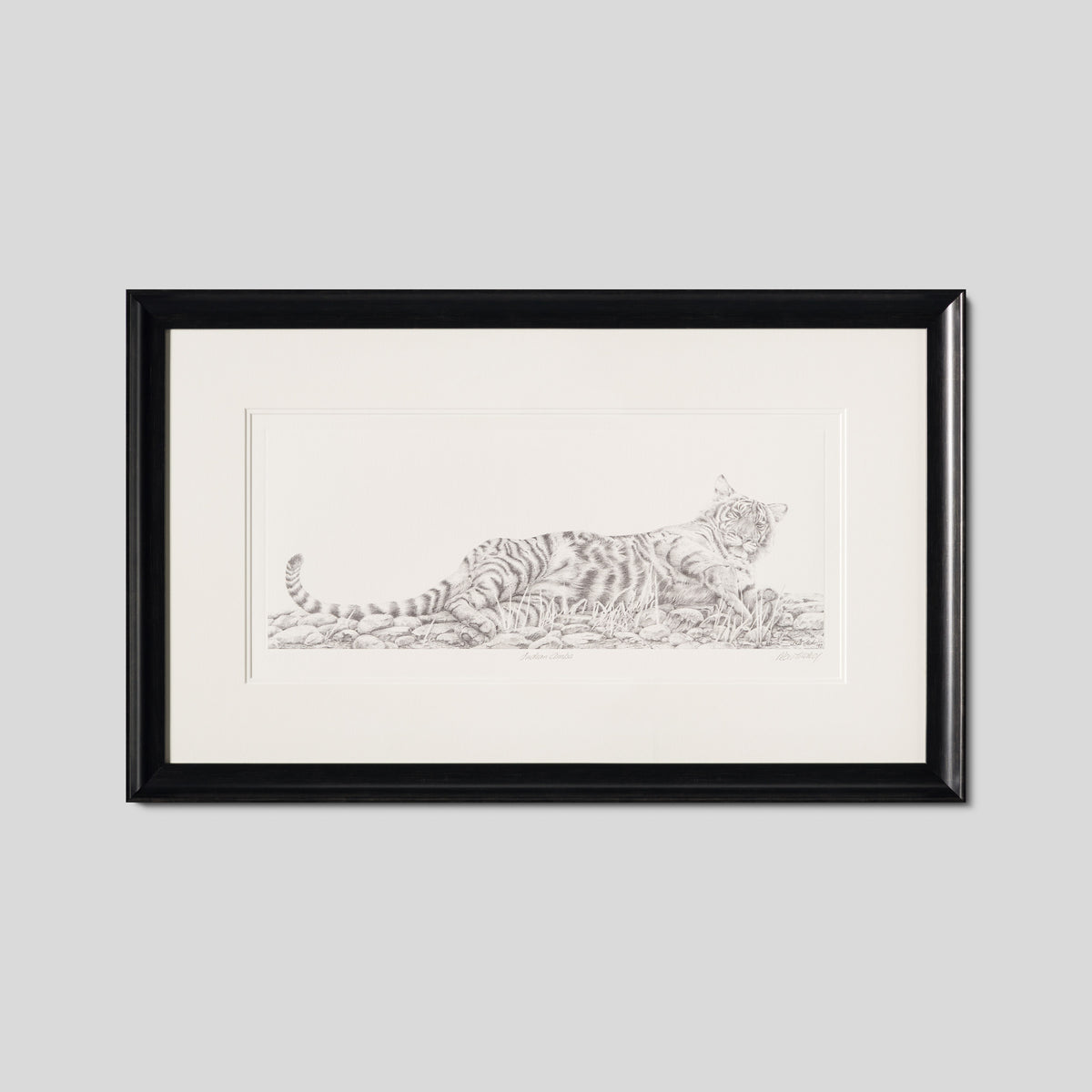 PHI SLE WWL 13359 Indian Amba   Peter 1 