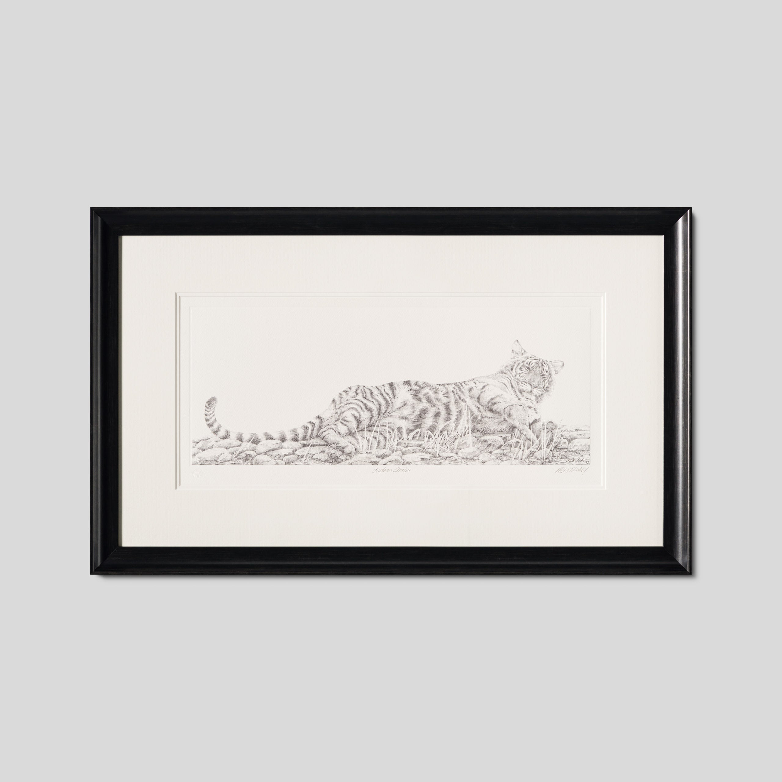 PHI SLE WWL 13359 Indian Amba   Peter 1 