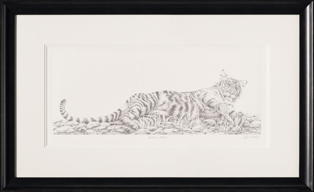 PHI SLE WWL 13359 Indian Amba   Peter 30 