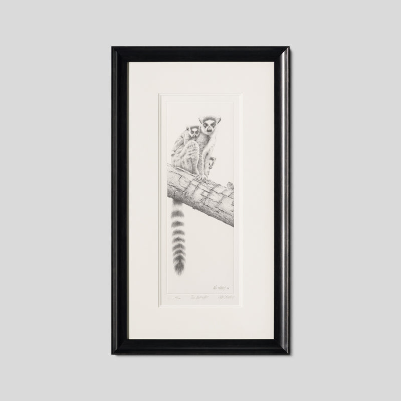 PHI SLE WWL 13593 The Intruder   P Hil 1 