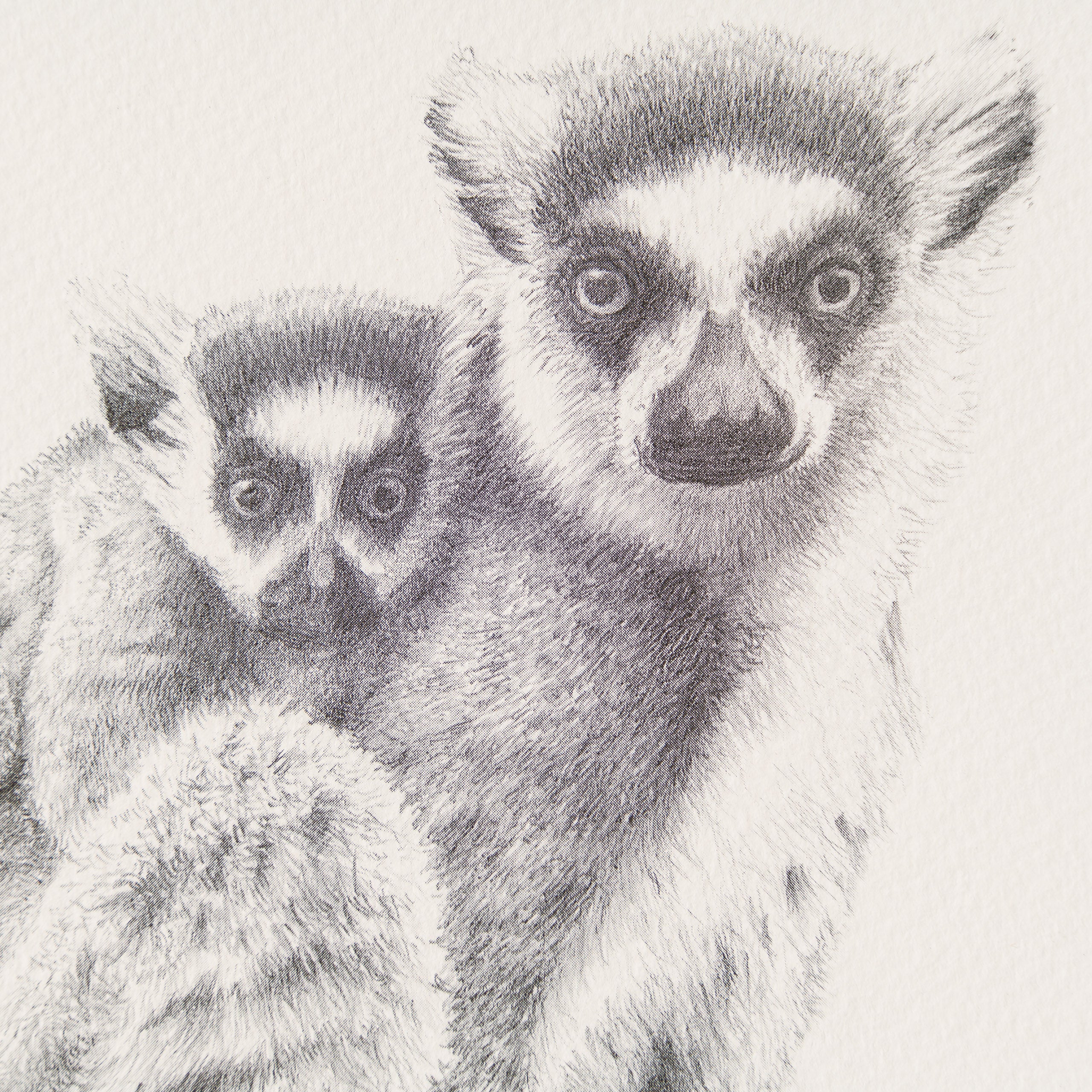 PHI SLE WWL 13593 The Intruder   P Hil 2 