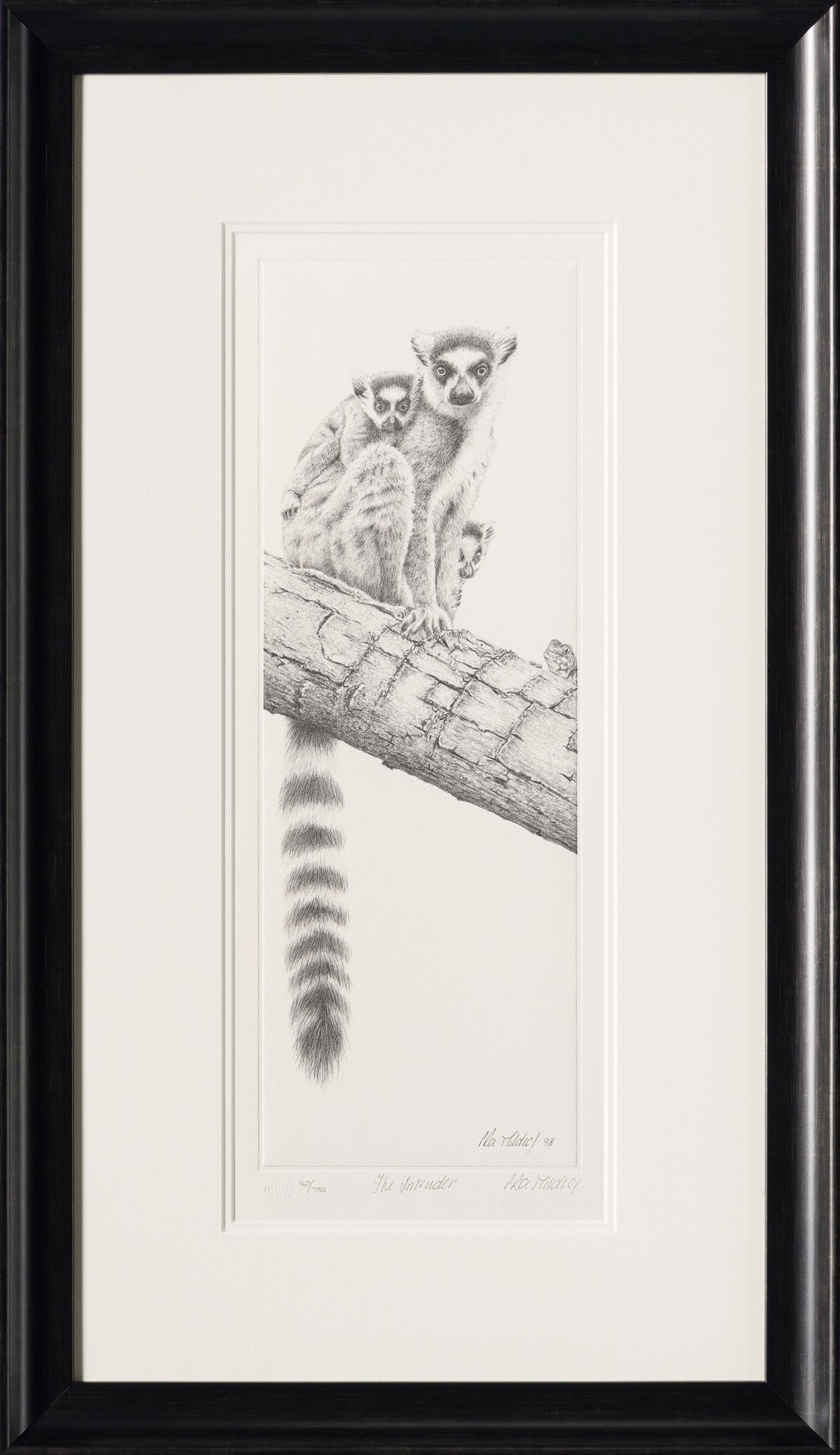 PHI SLE WWL 13593 The Intruder   P Hil 30 