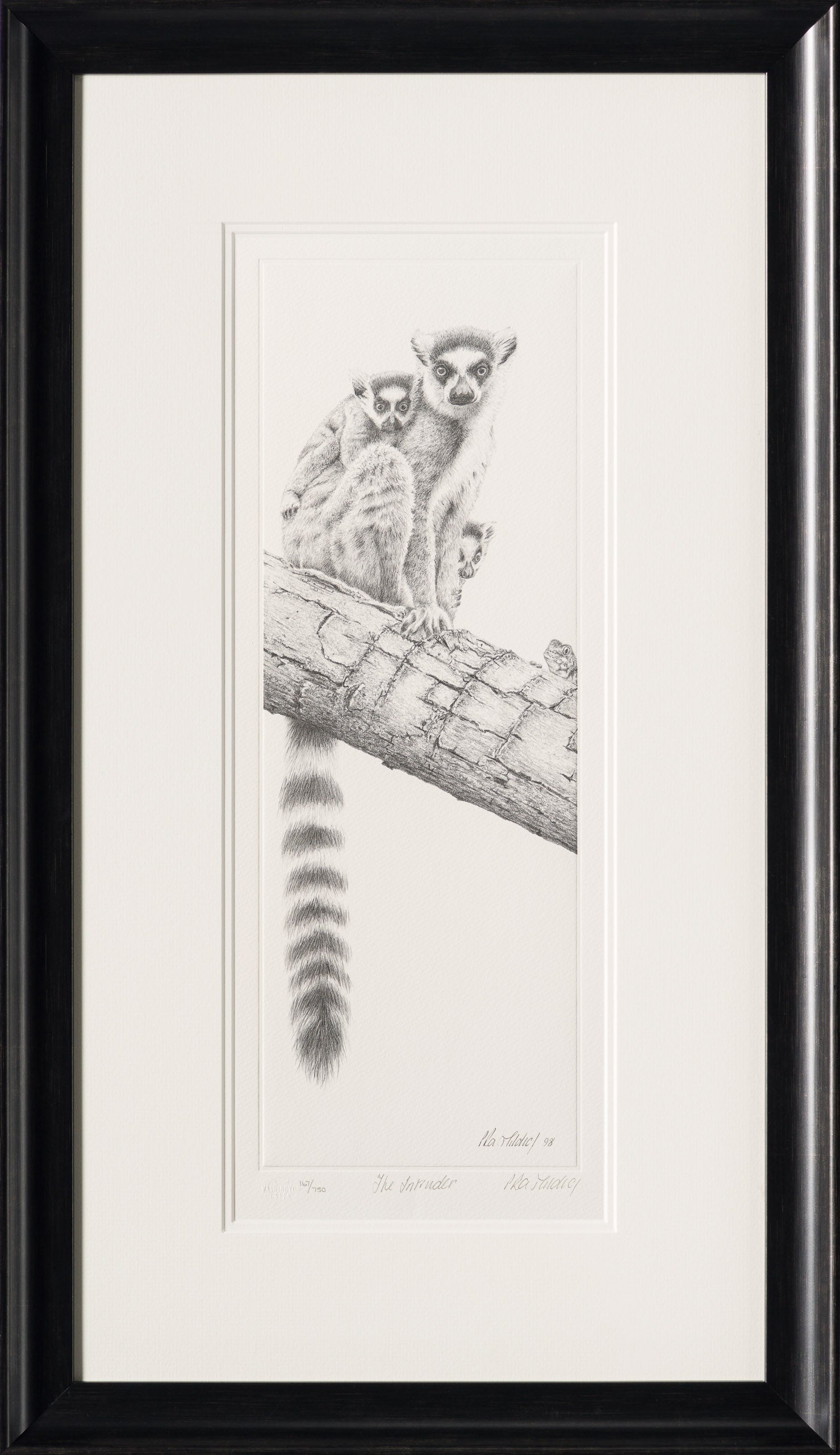 PHI SLE WWL 13593 The Intruder   P Hil 30 