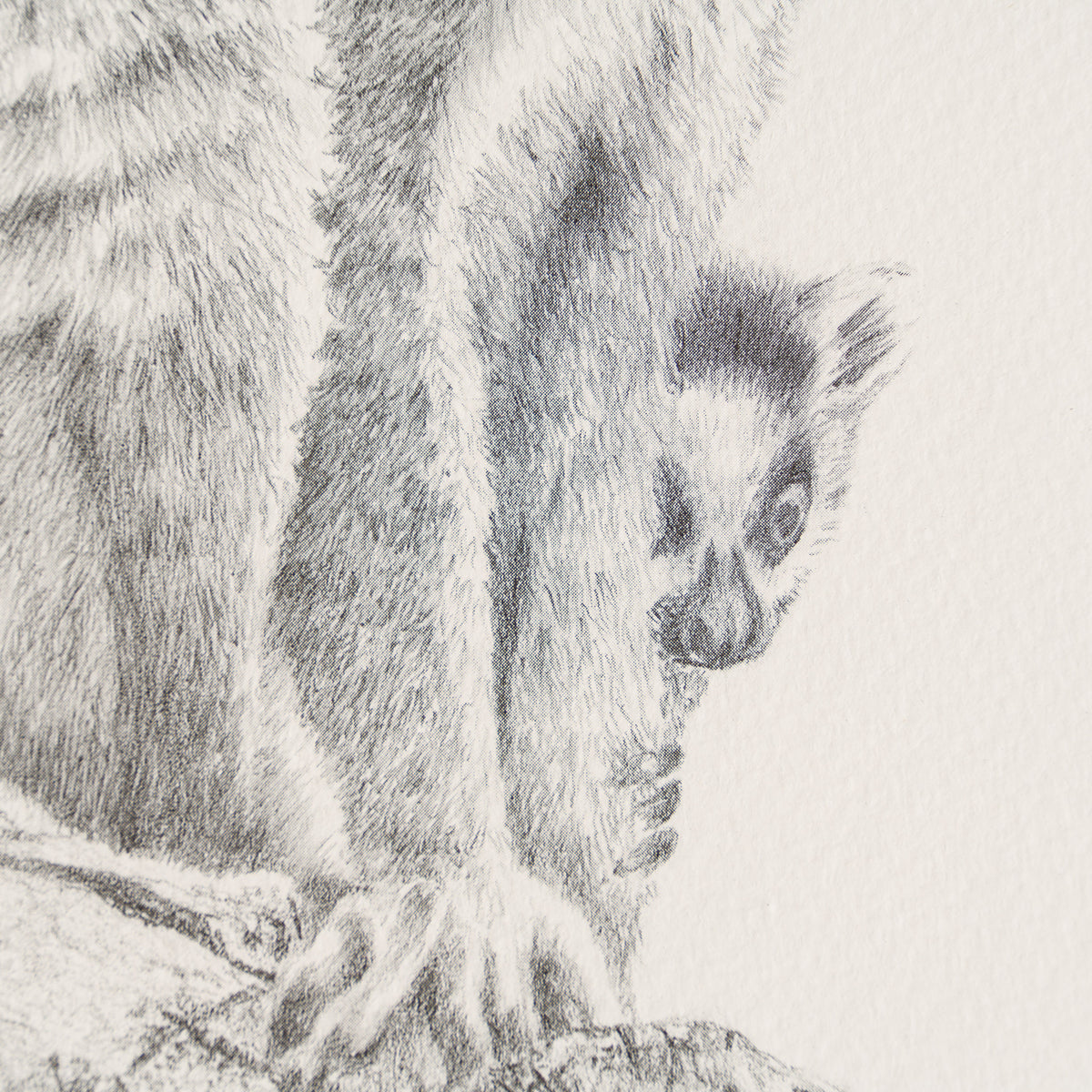 PHI SLE WWL 13593 The Intruder   P Hil 3 