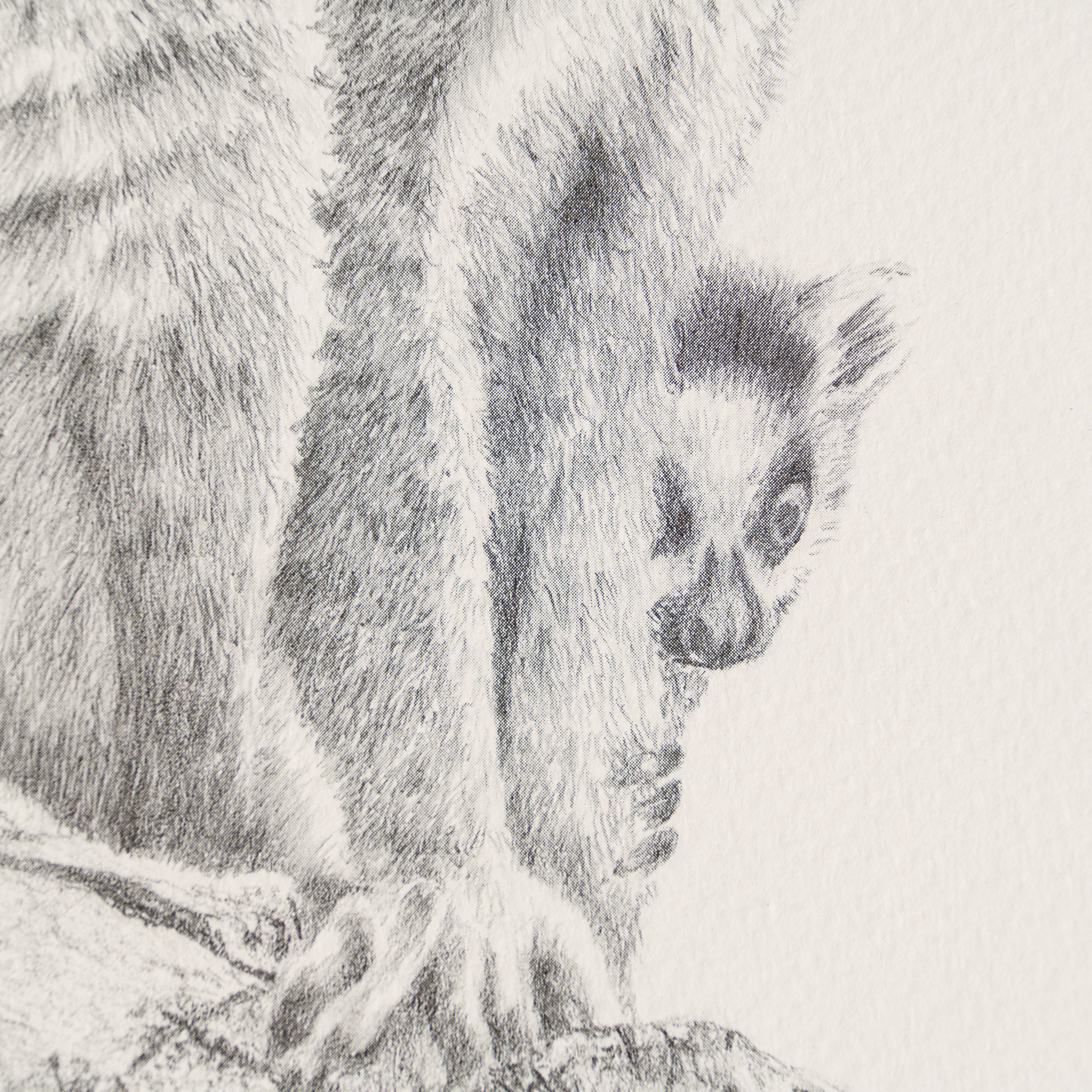 PHI SLE WWL 13593 The Intruder   P Hil 3 