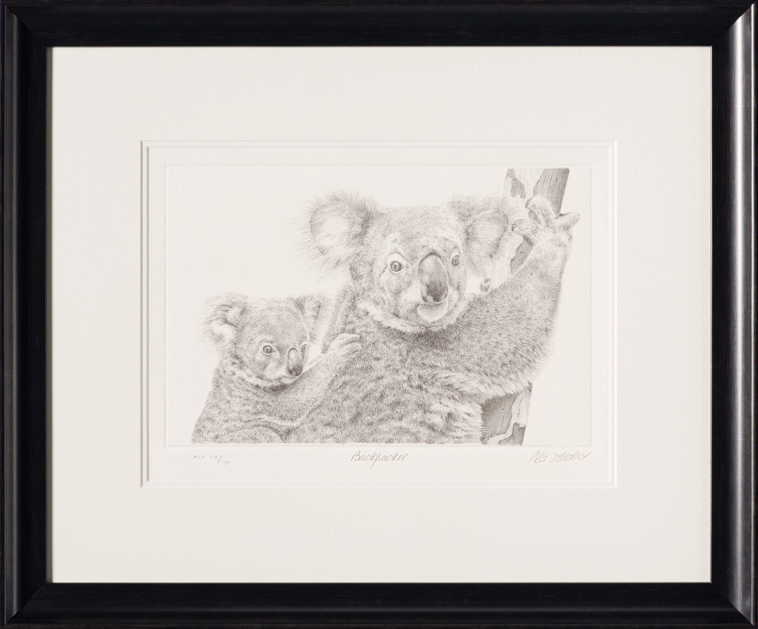 PHI SLE WWL 14201 Backpacker   P Hildi 30 