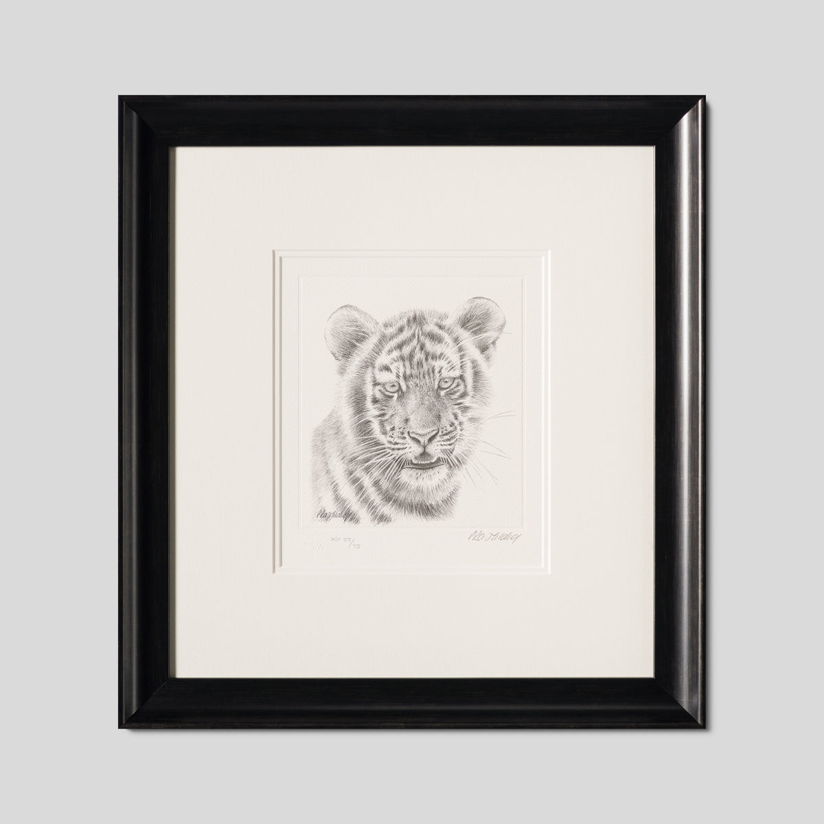 PHI SLE WWL 14747 Tiger Study   P Hild 1 