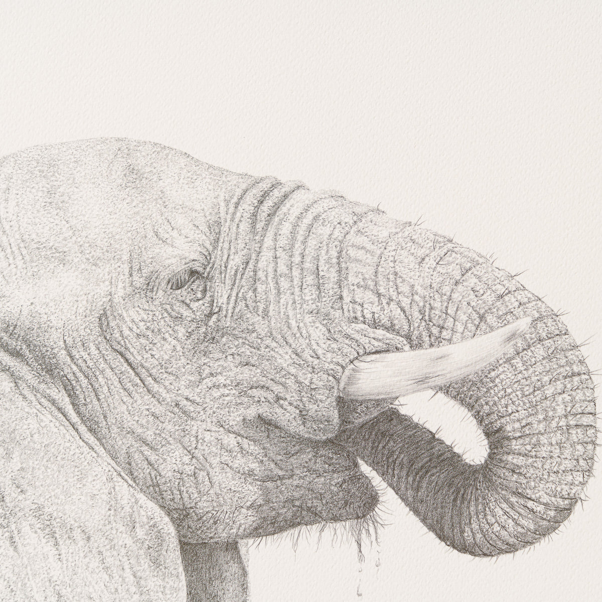 PHI SLE WWL 14750 Just A Quick One   P 2 