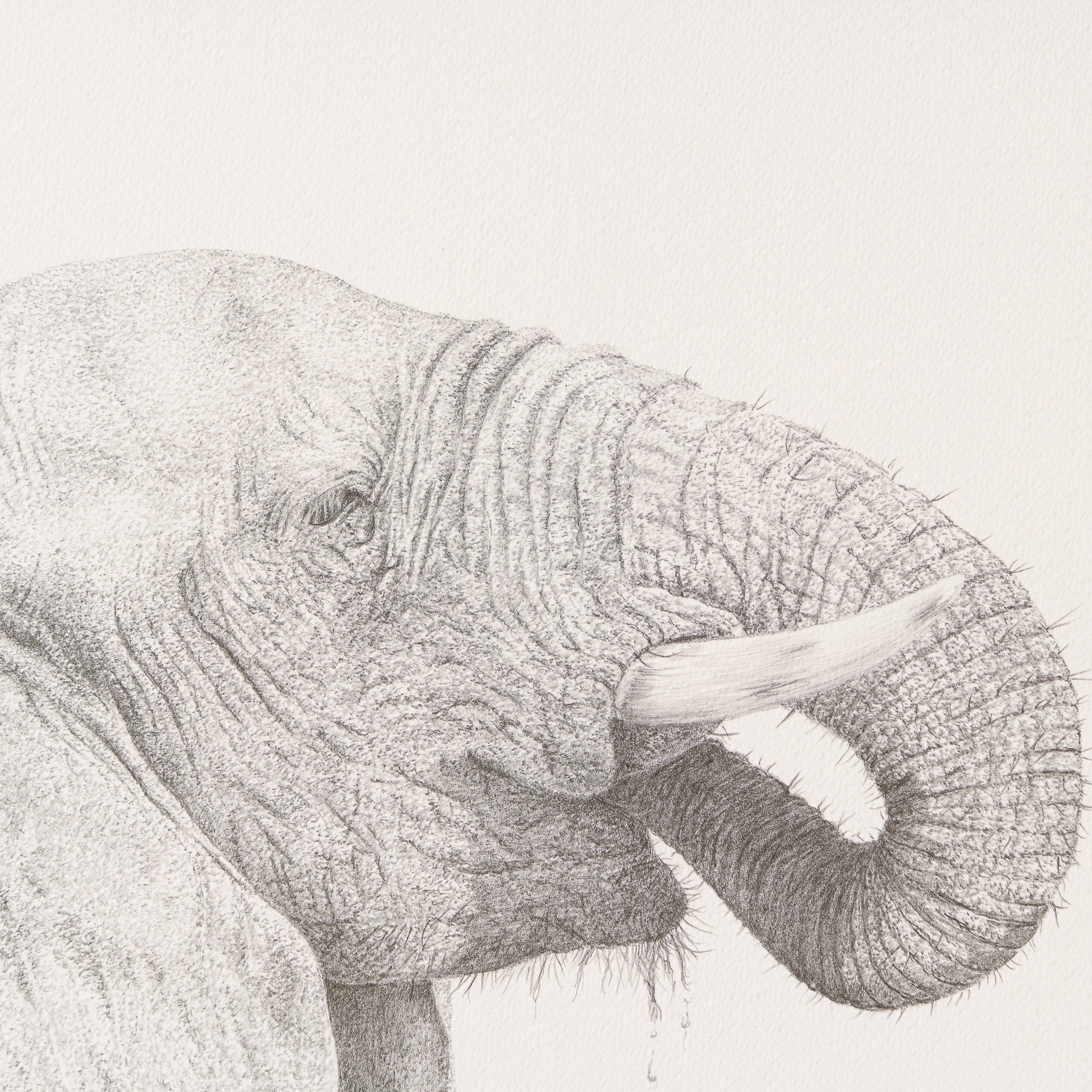 PHI SLE WWL 14750 Just A Quick One   P 2 