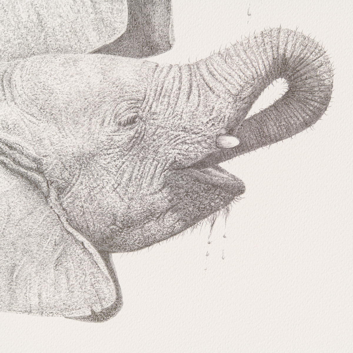 PHI SLE WWL 14750 Just A Quick One   P 3 