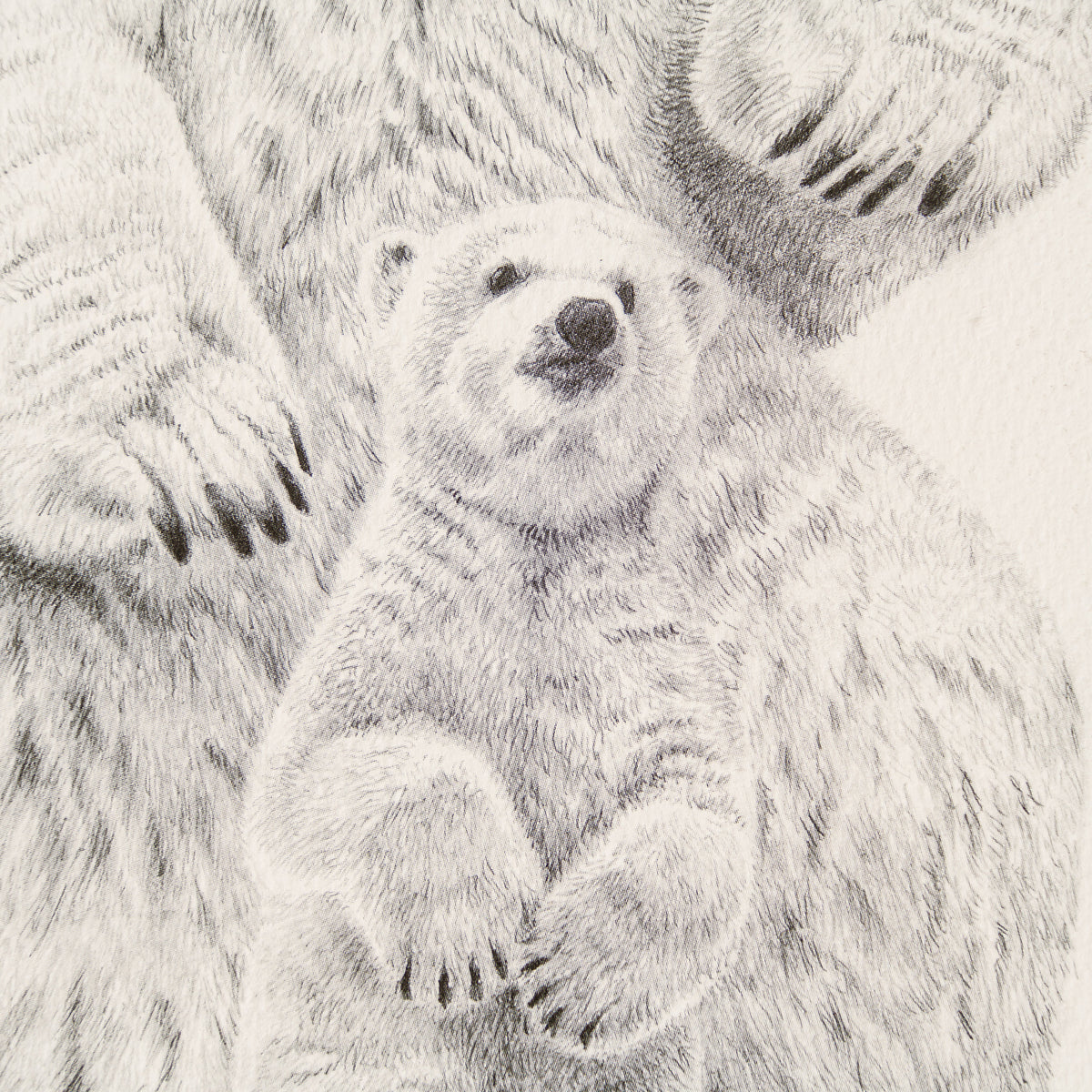 PHI SLE WWL 15878 Cold Feet   P Hildic 3 