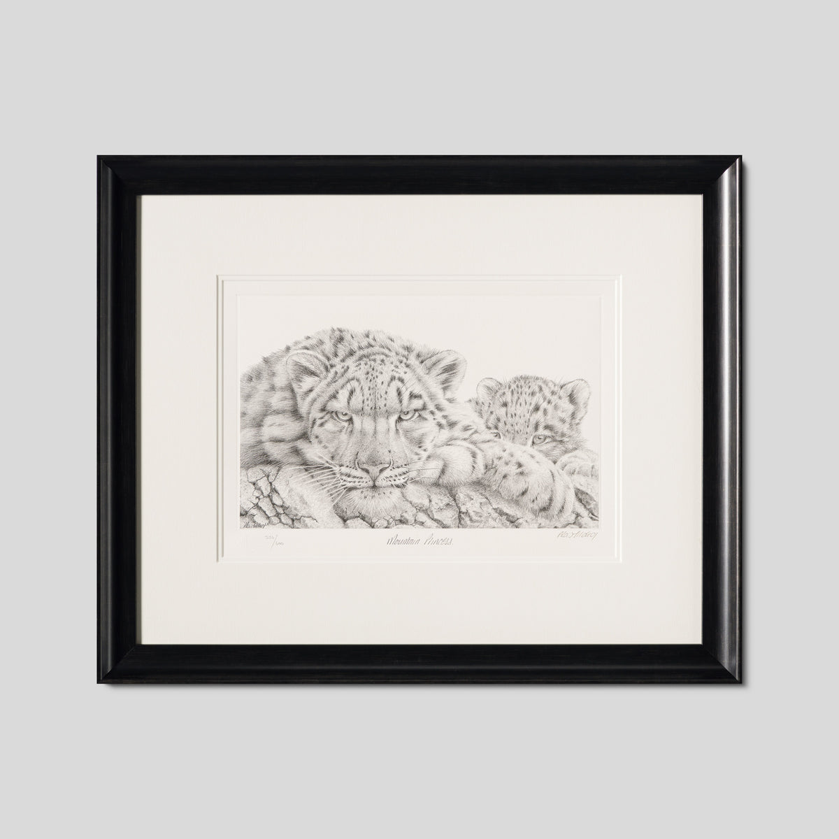 PHI SLE WWL 15879 Mountain Princess 1 