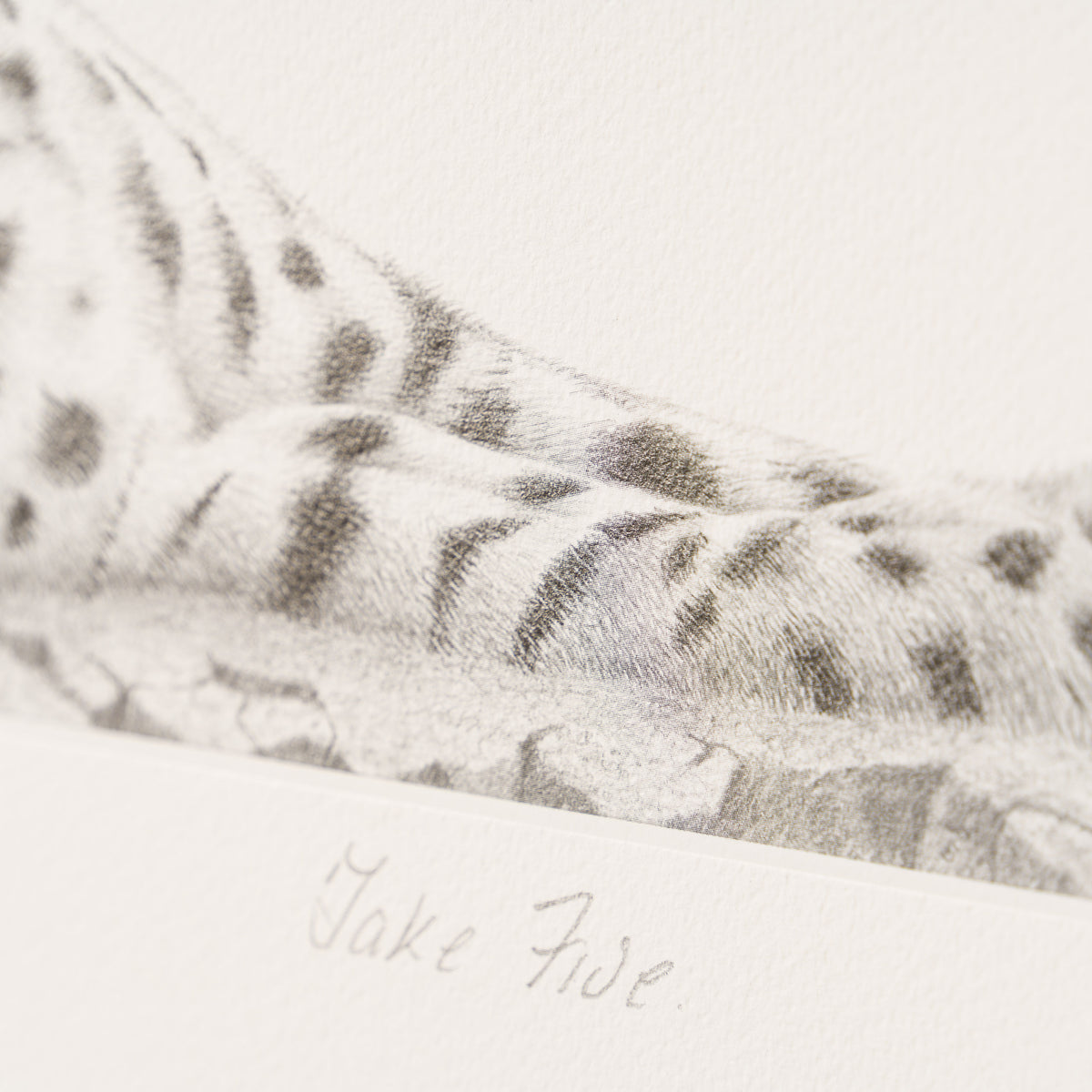 PHI SLE WWL 16496 Take Five   Hildick 4 