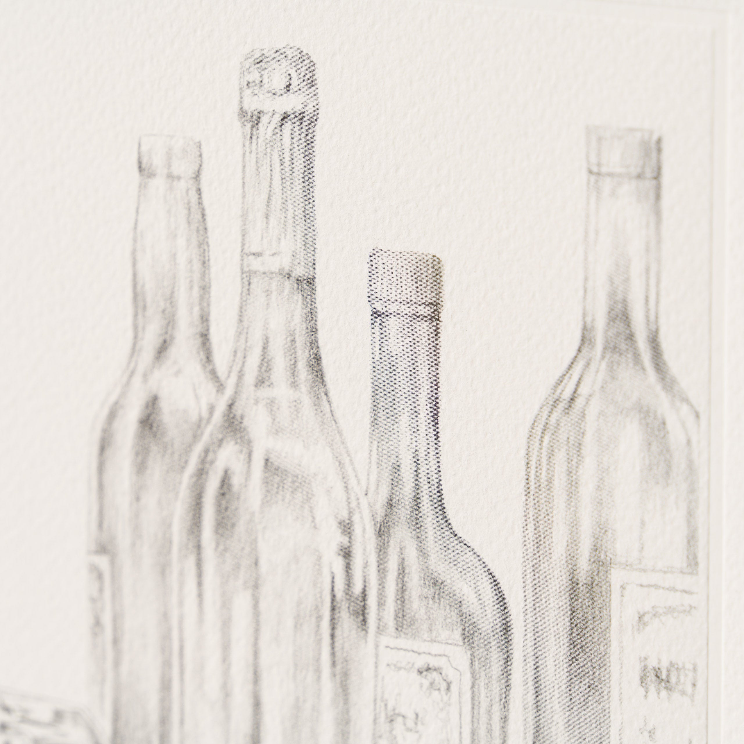 PHI SLE WWL 16497 By A Whisker   Hildi 4 