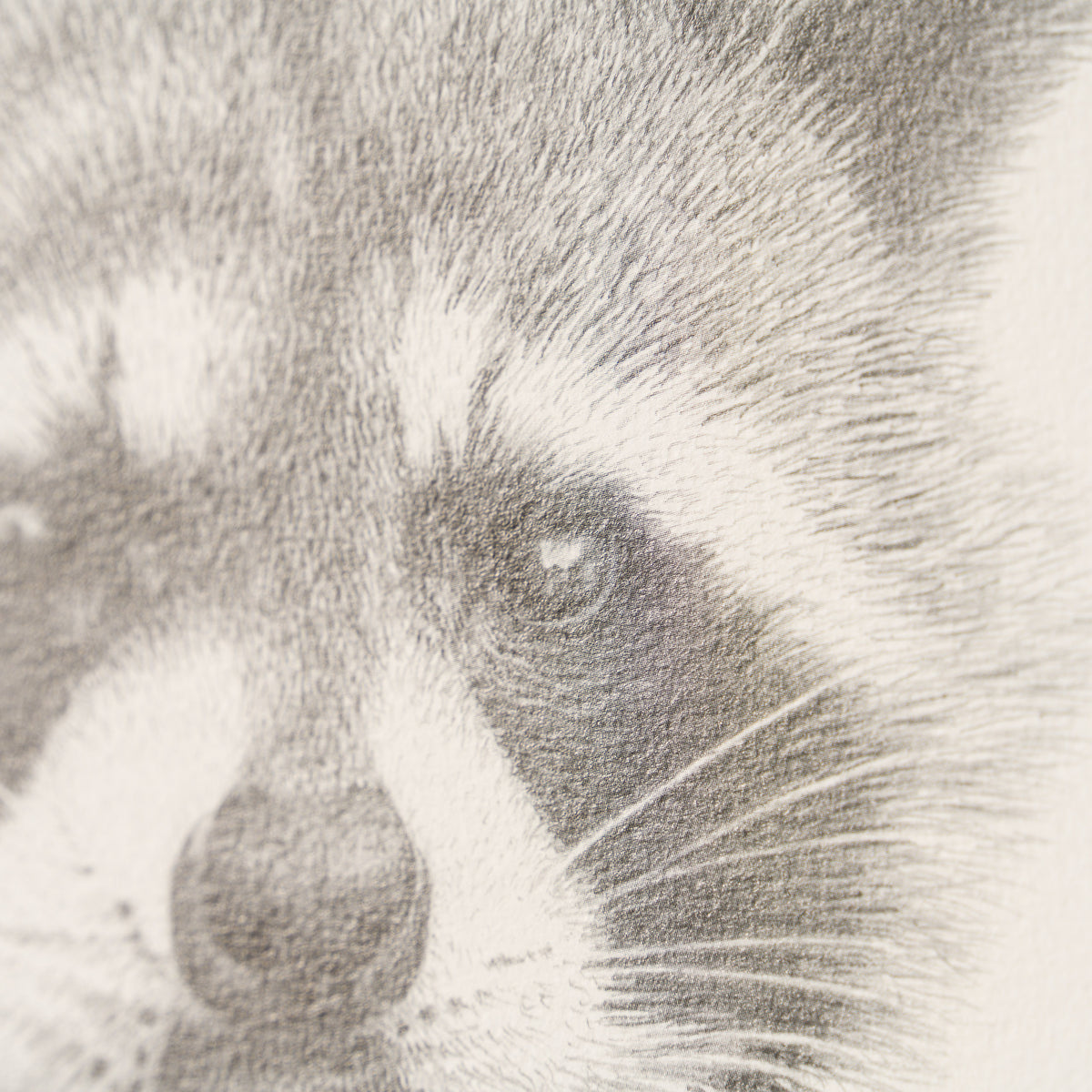 PHI SLE WWL 17917 The Bandit 4 