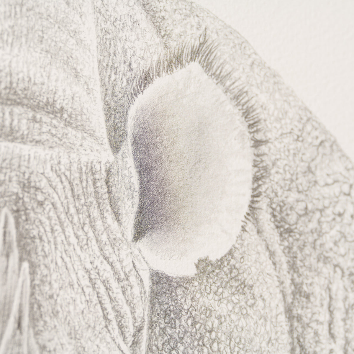 PHI SLE WWL 17919 Temper Temper 4 