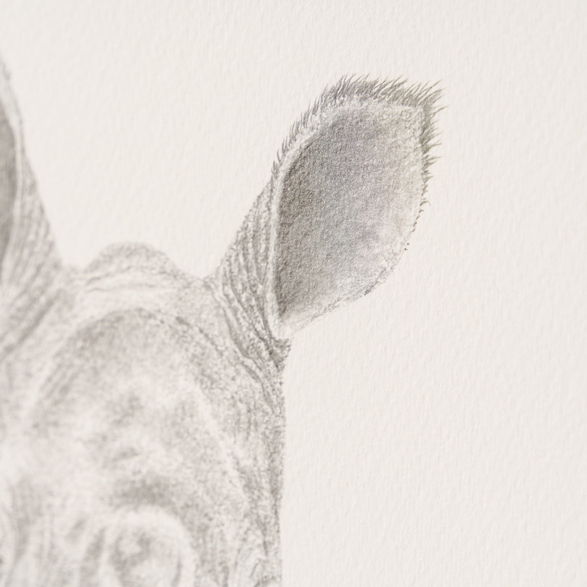 PHI SLE WWL 18771 Sitting This One Out 4 