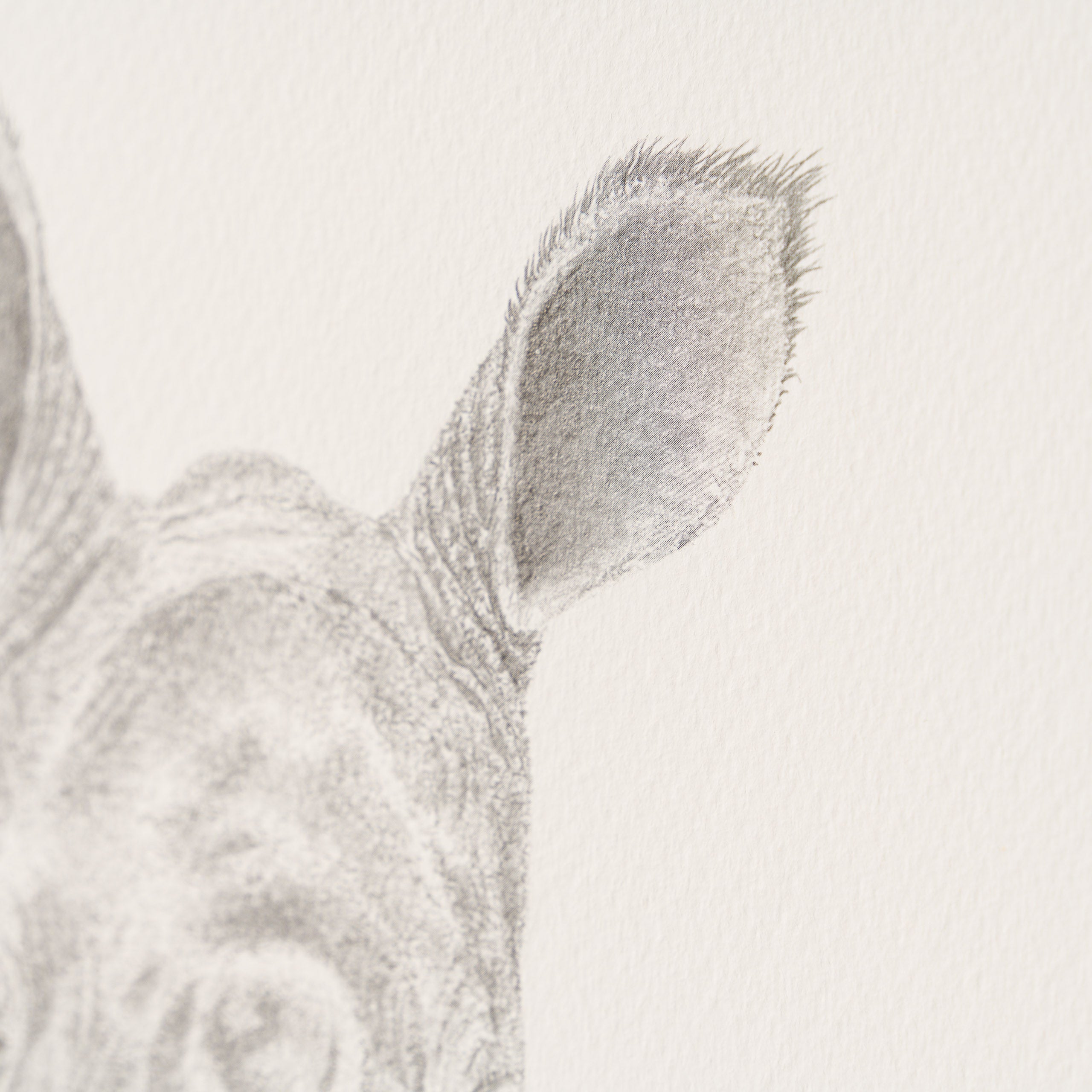 PHI SLE WWL 18771 Sitting This One Out 4 