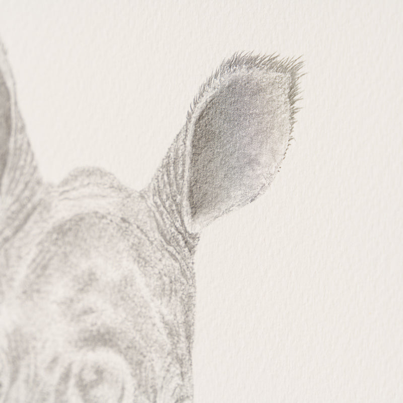 PHI SLE WWL 18771 Sitting This One Out 4 