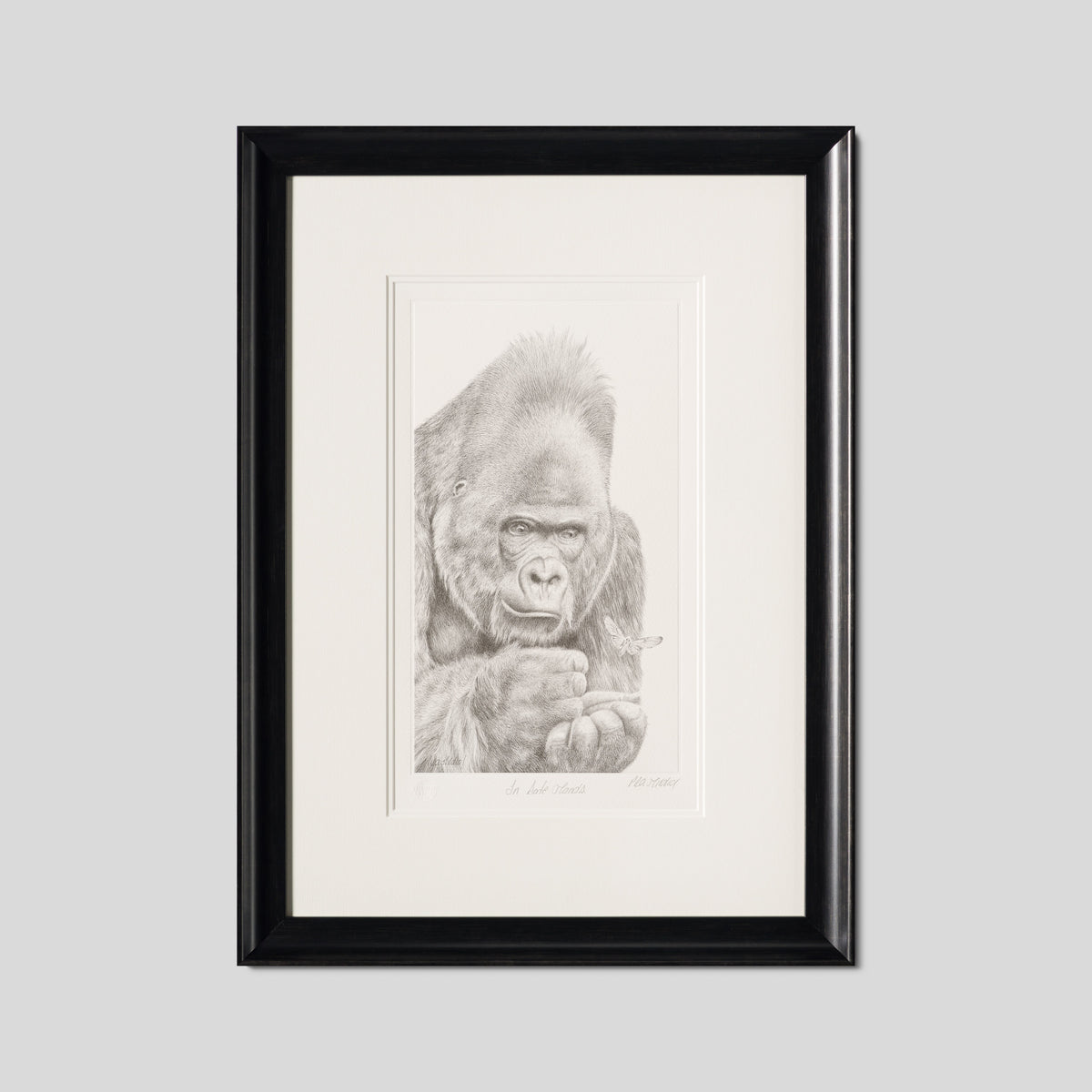 PHI SLE WWL 18773 In Safe Hands   Hild 1 