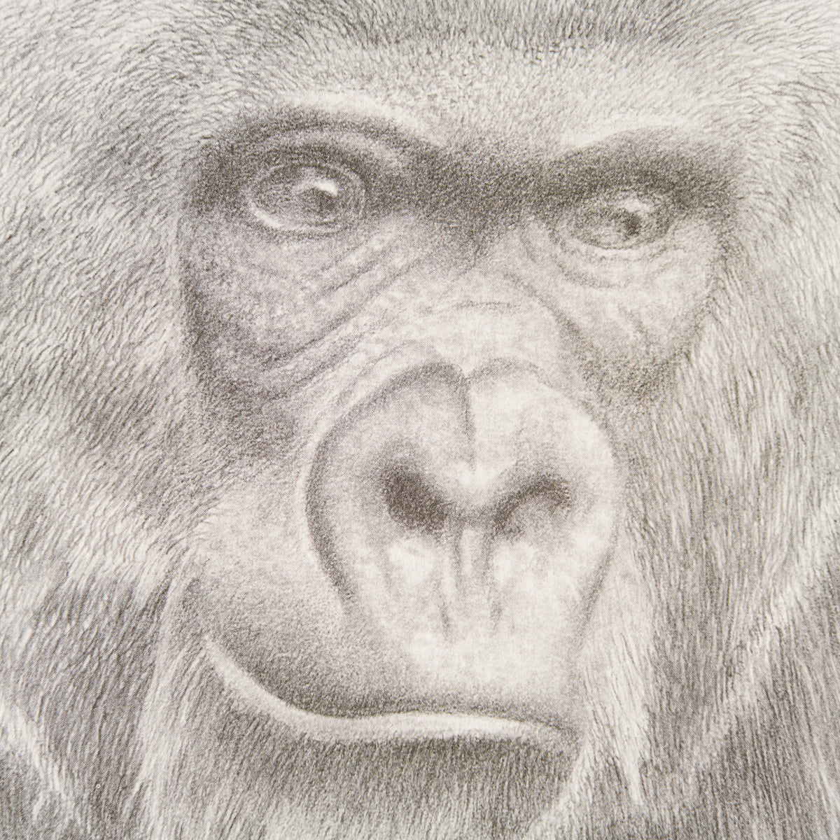 PHI SLE WWL 18773 In Safe Hands   Hild 2 