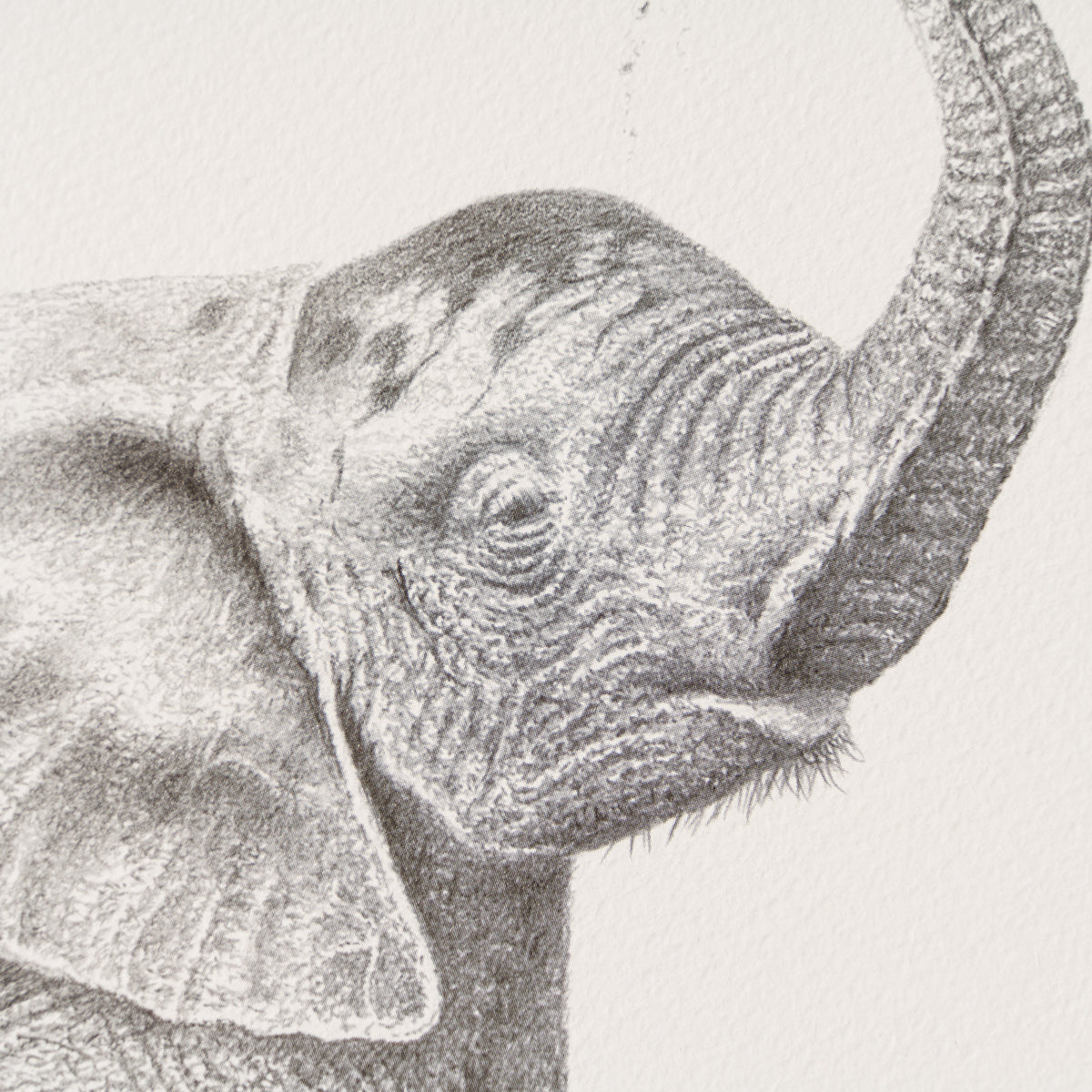 PHI SLE WWL 20252 Bathtime   Hildick 2 