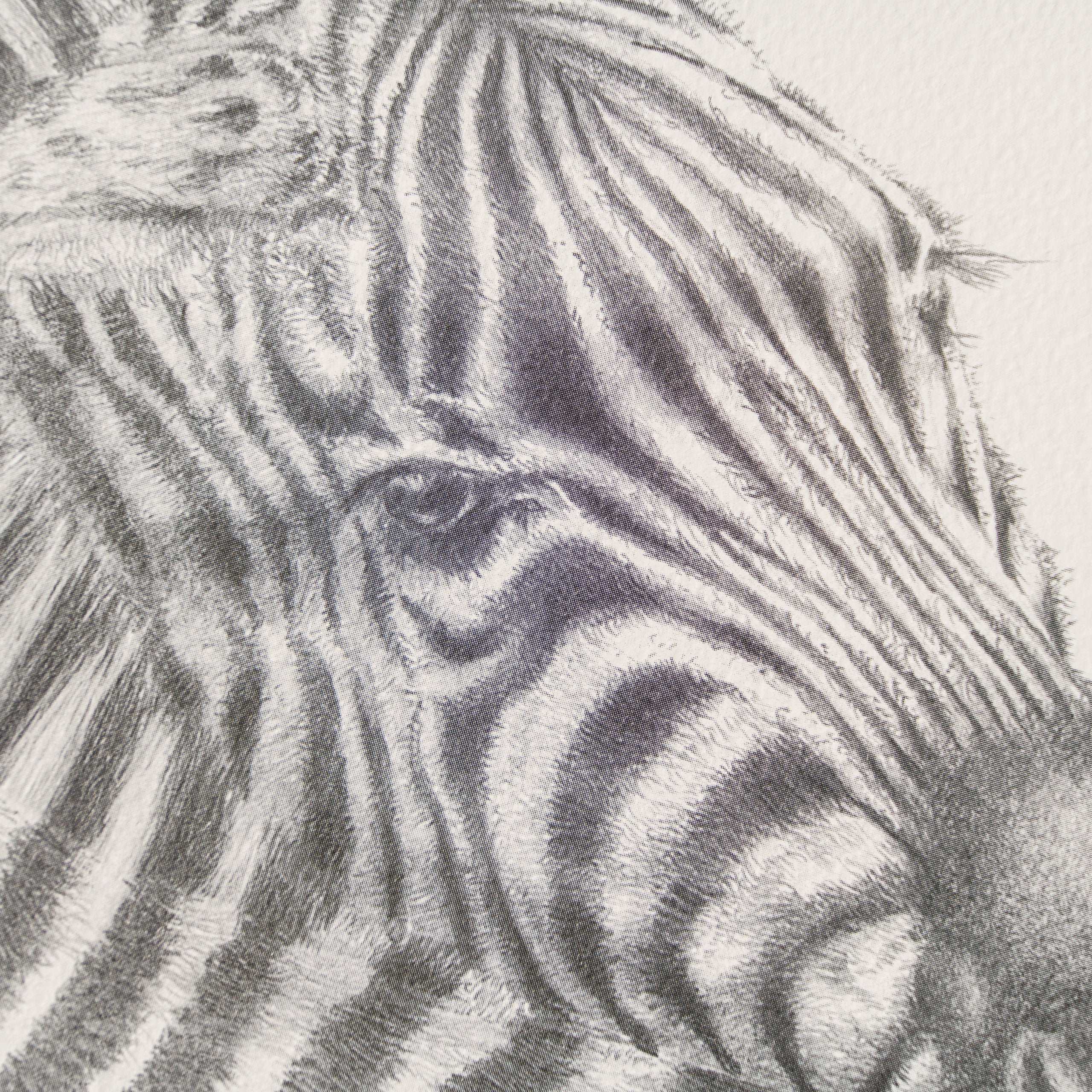 PHI SLE WWL 20803 Lean On Me   Hildick 2 