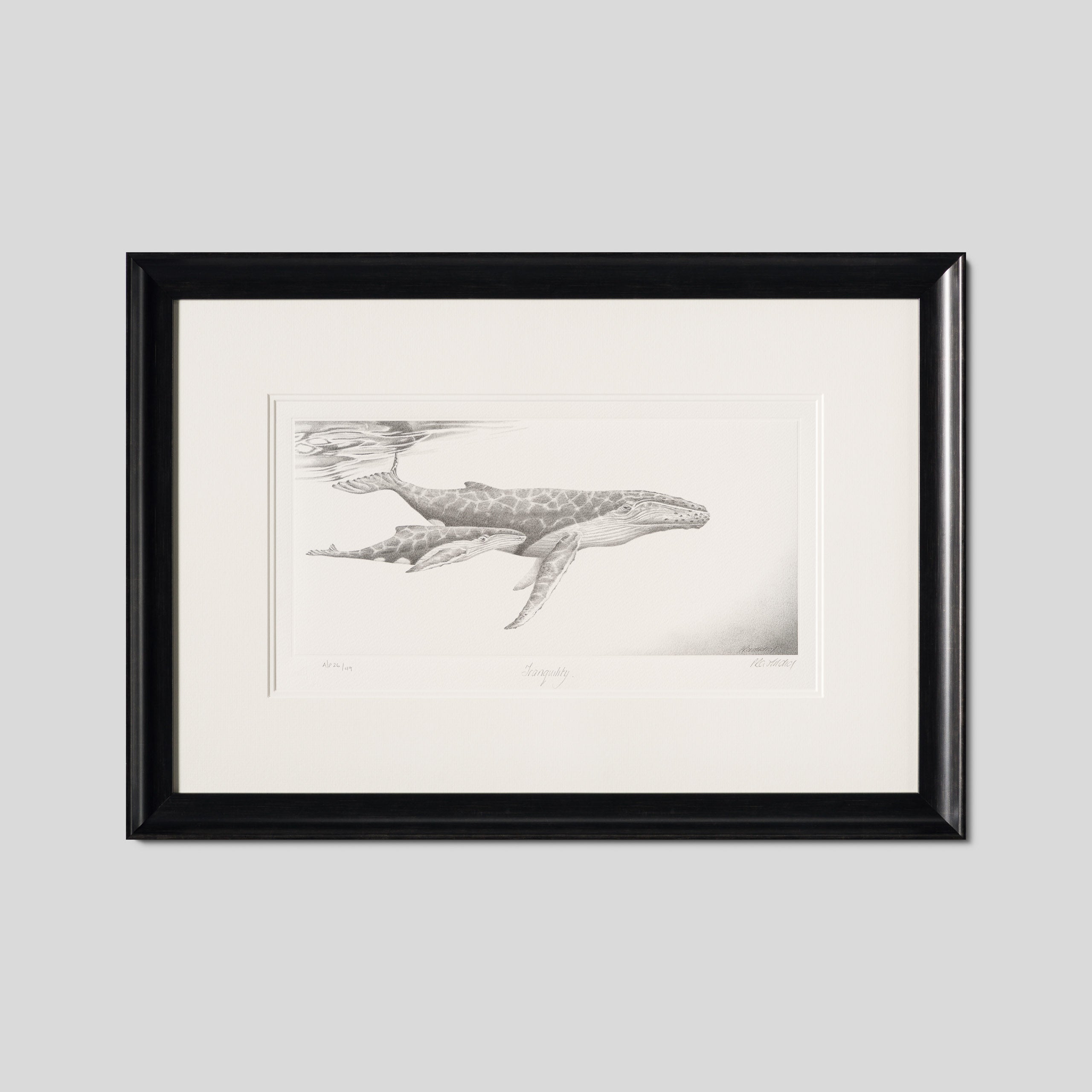 PHI SLE WWL 20804 Tranquility   Hildic 1 