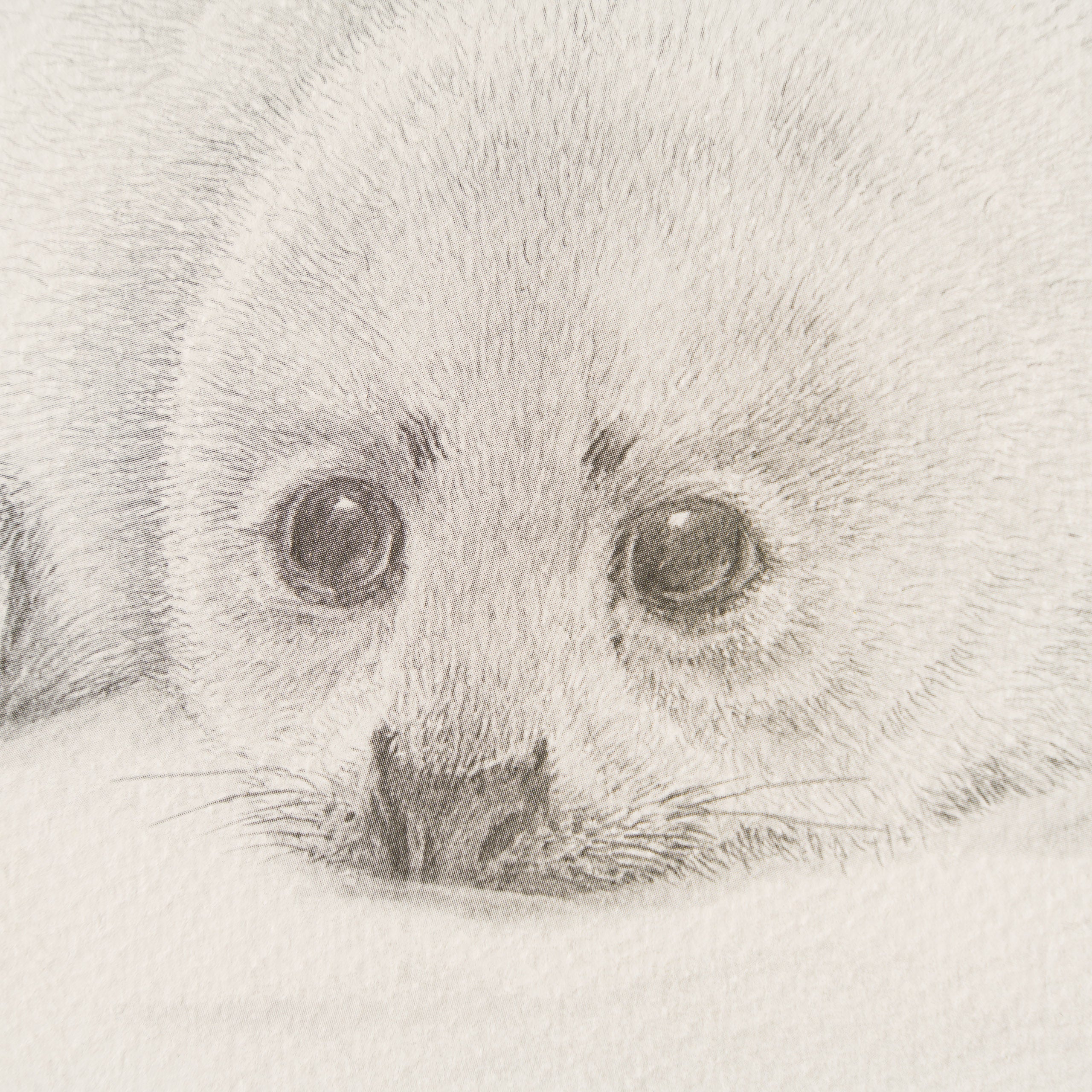 PHI SLE WWL 21604 Innocence   Hildick 2 