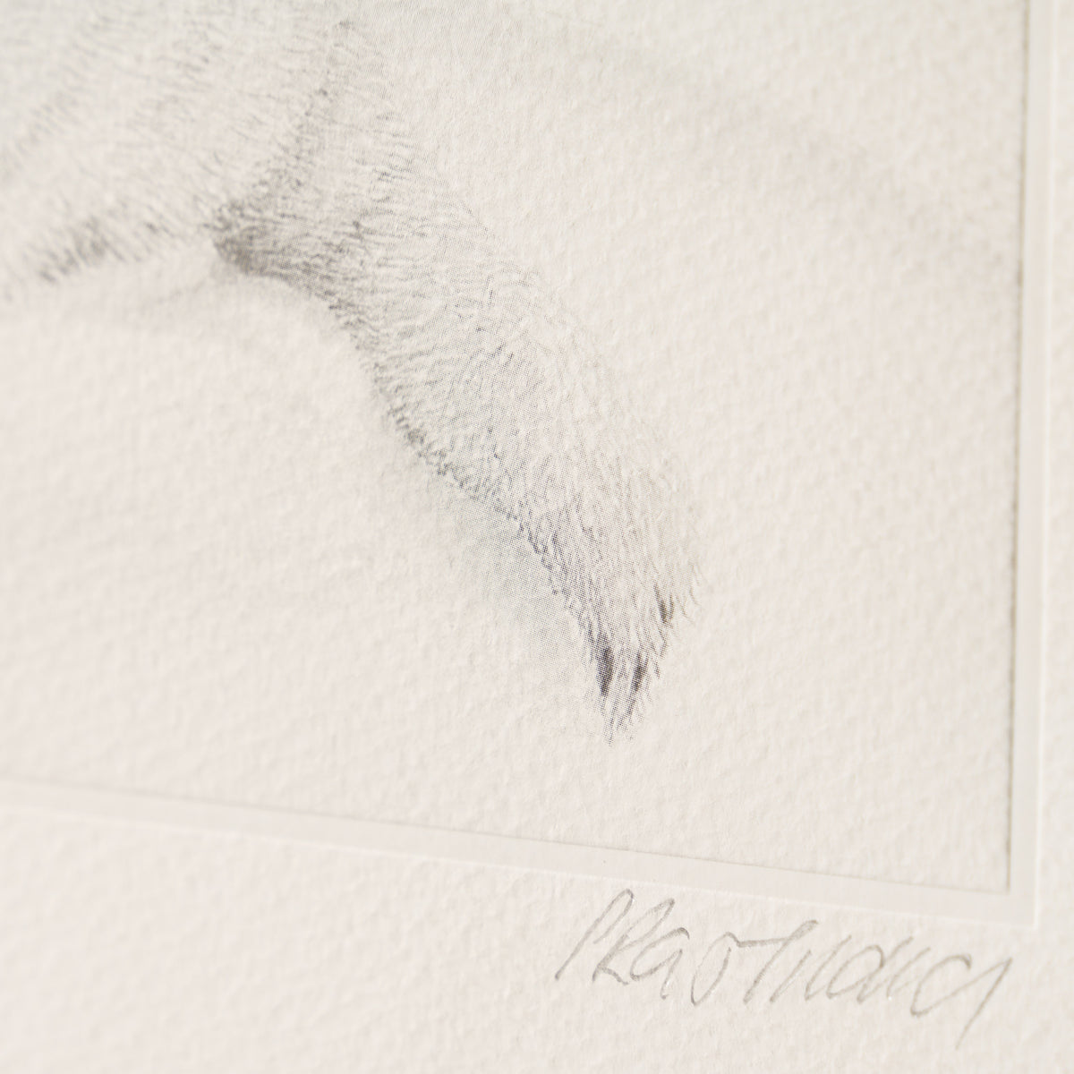 PHI SLE WWL 21604 Innocence   Hildick 3 