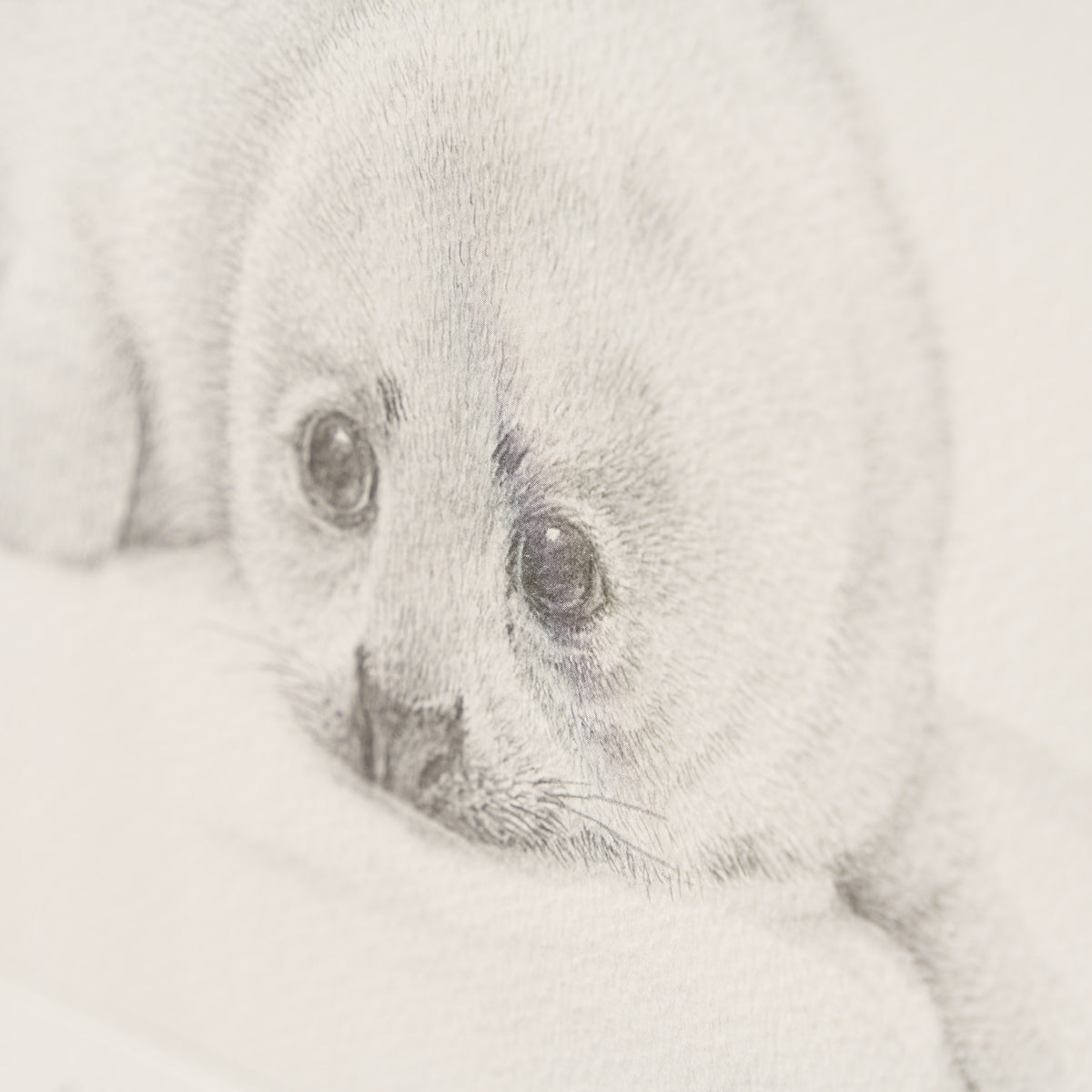 PHI SLE WWL 21604 Innocence   Hildick 4 