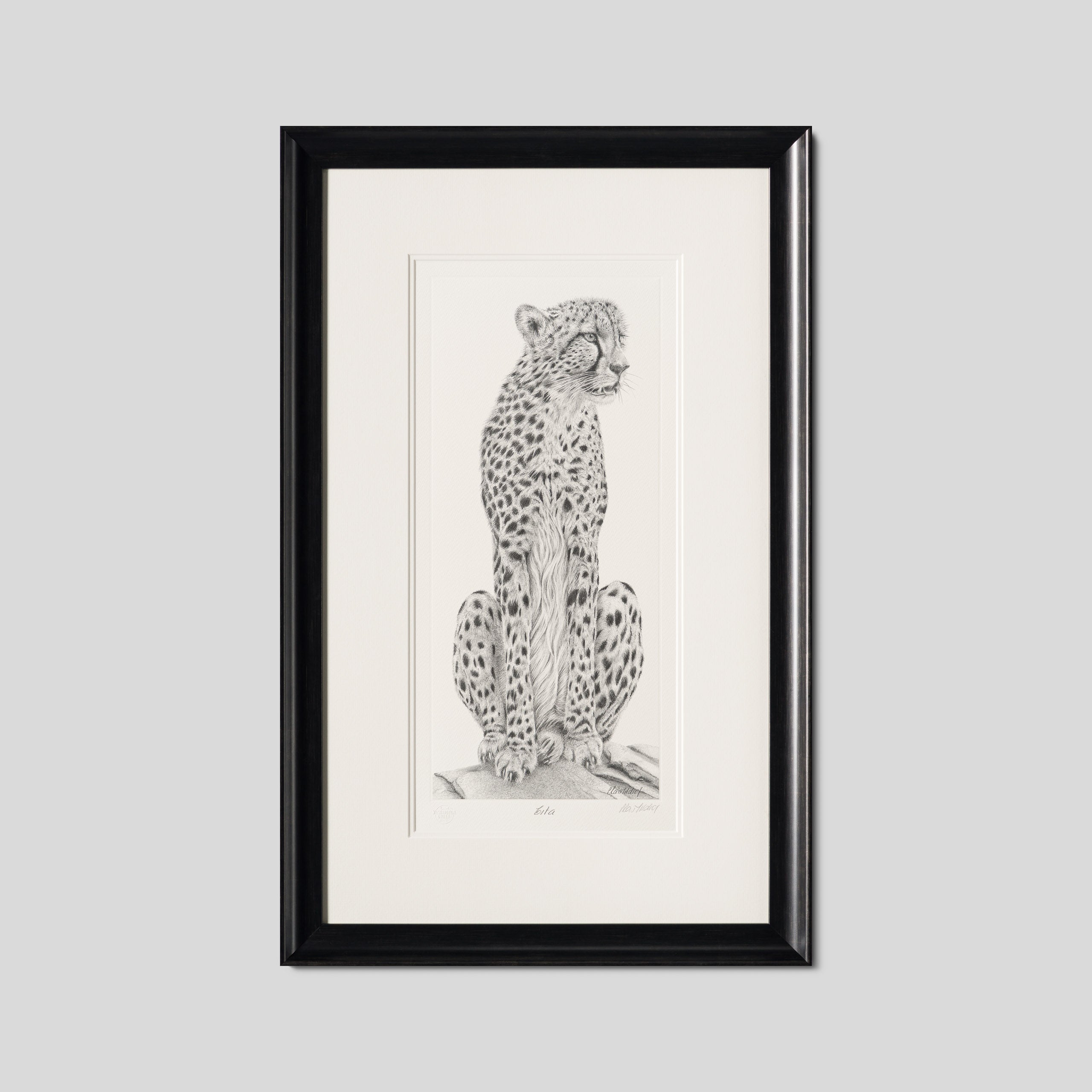 PHI SLE WWL 22169 Cita   Hildick 1 