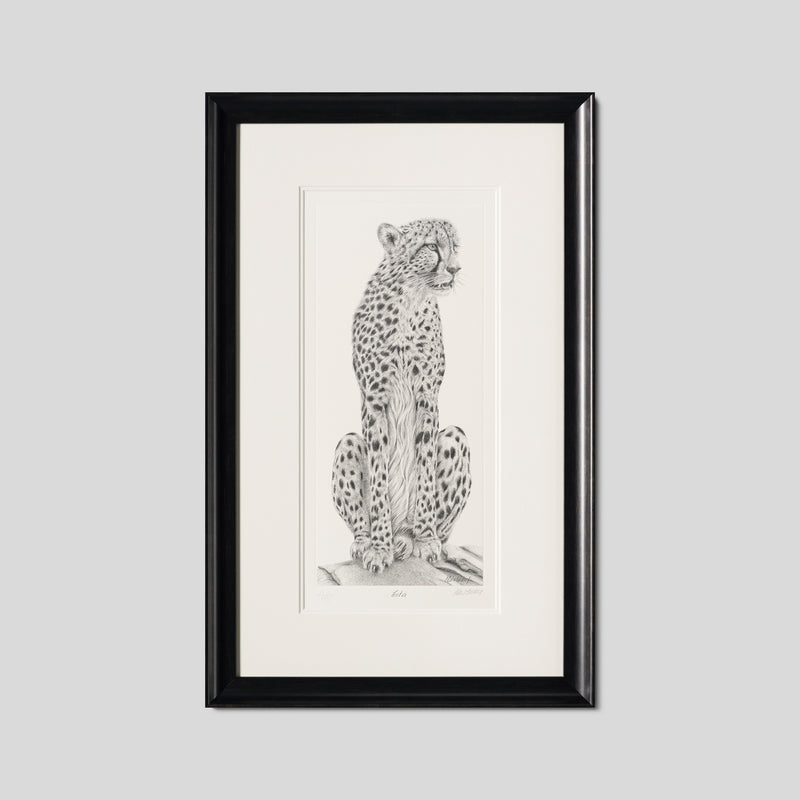 PHI SLE WWL 22169 Cita   Hildick 1 