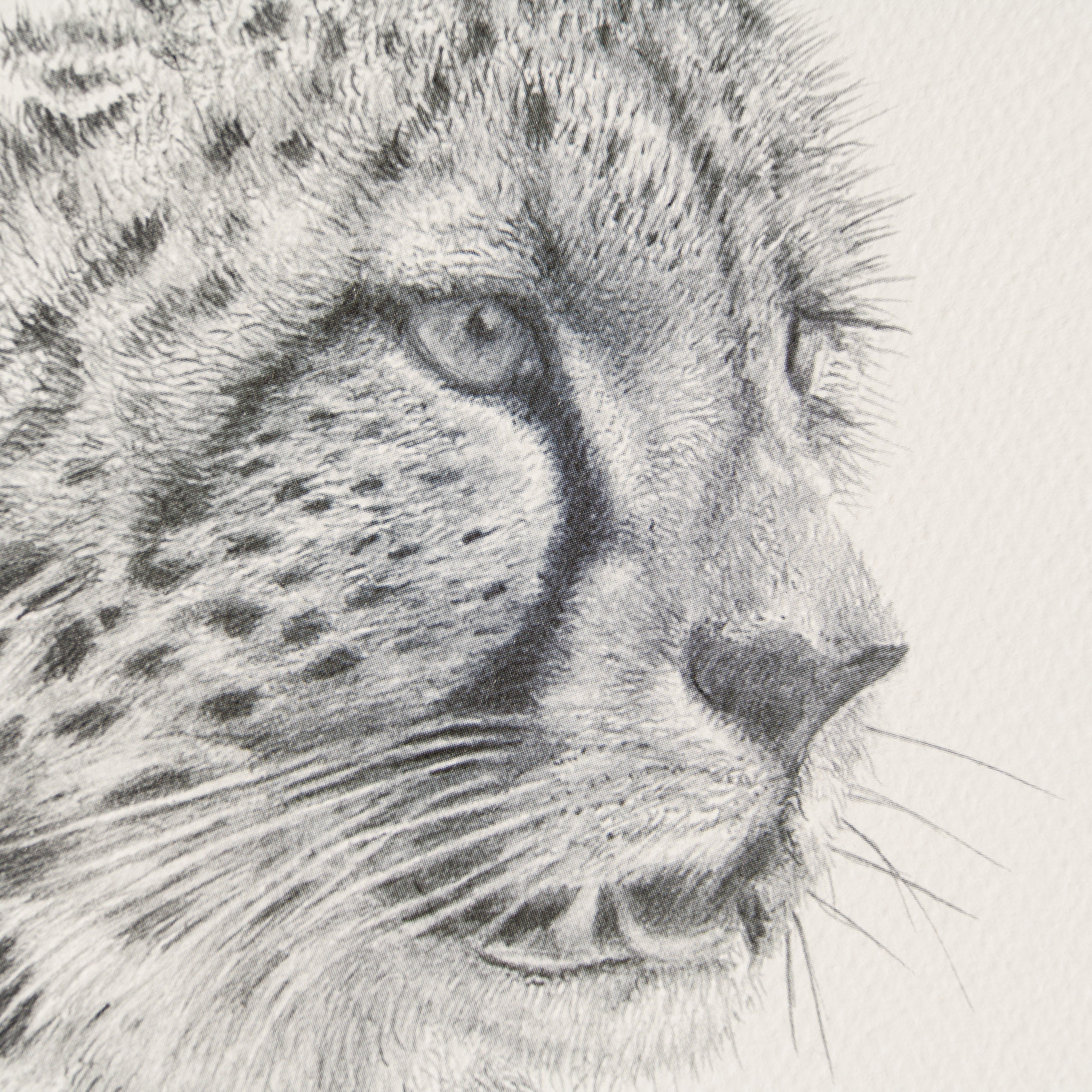 PHI SLE WWL 22169 Cita   Hildick 2 