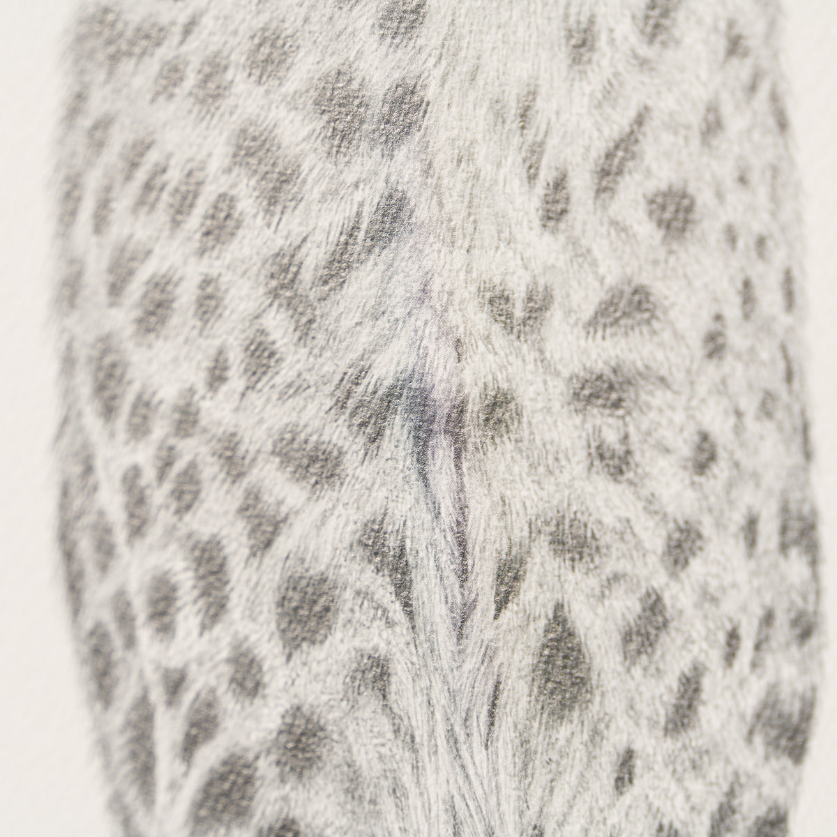 PHI SLE WWL 22169 Cita   Hildick 5 