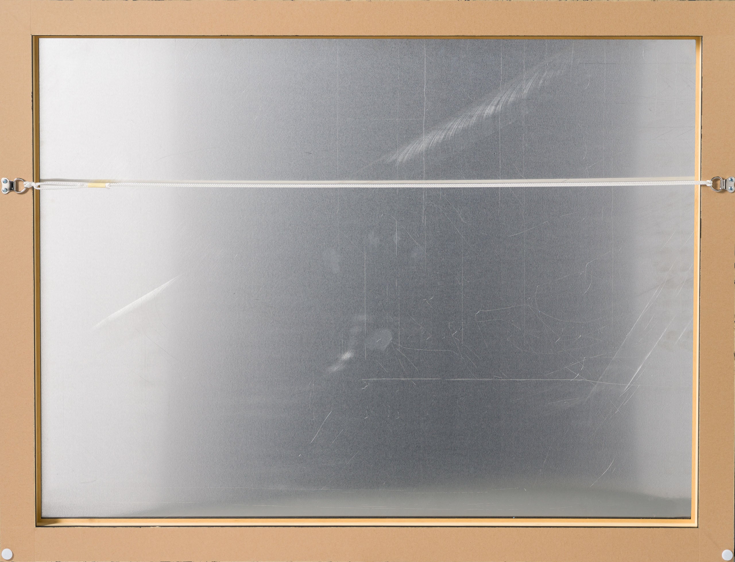 PKE Capturing Venice BACKSHOT 