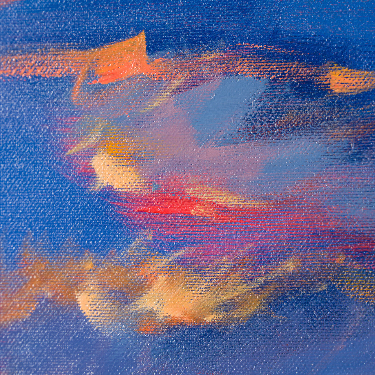 PKE ORI LAN 29898 5 Sunset Blaze 